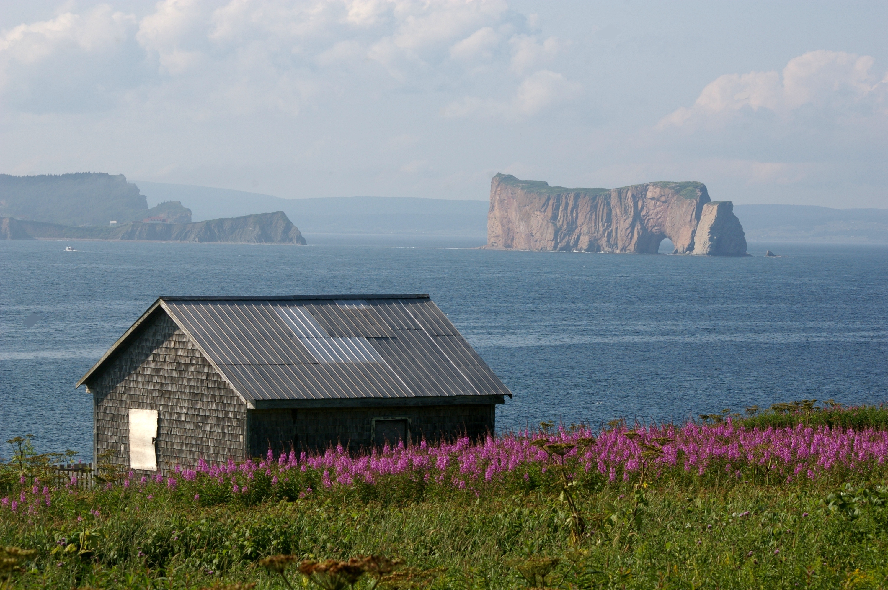 Île Bonaventure