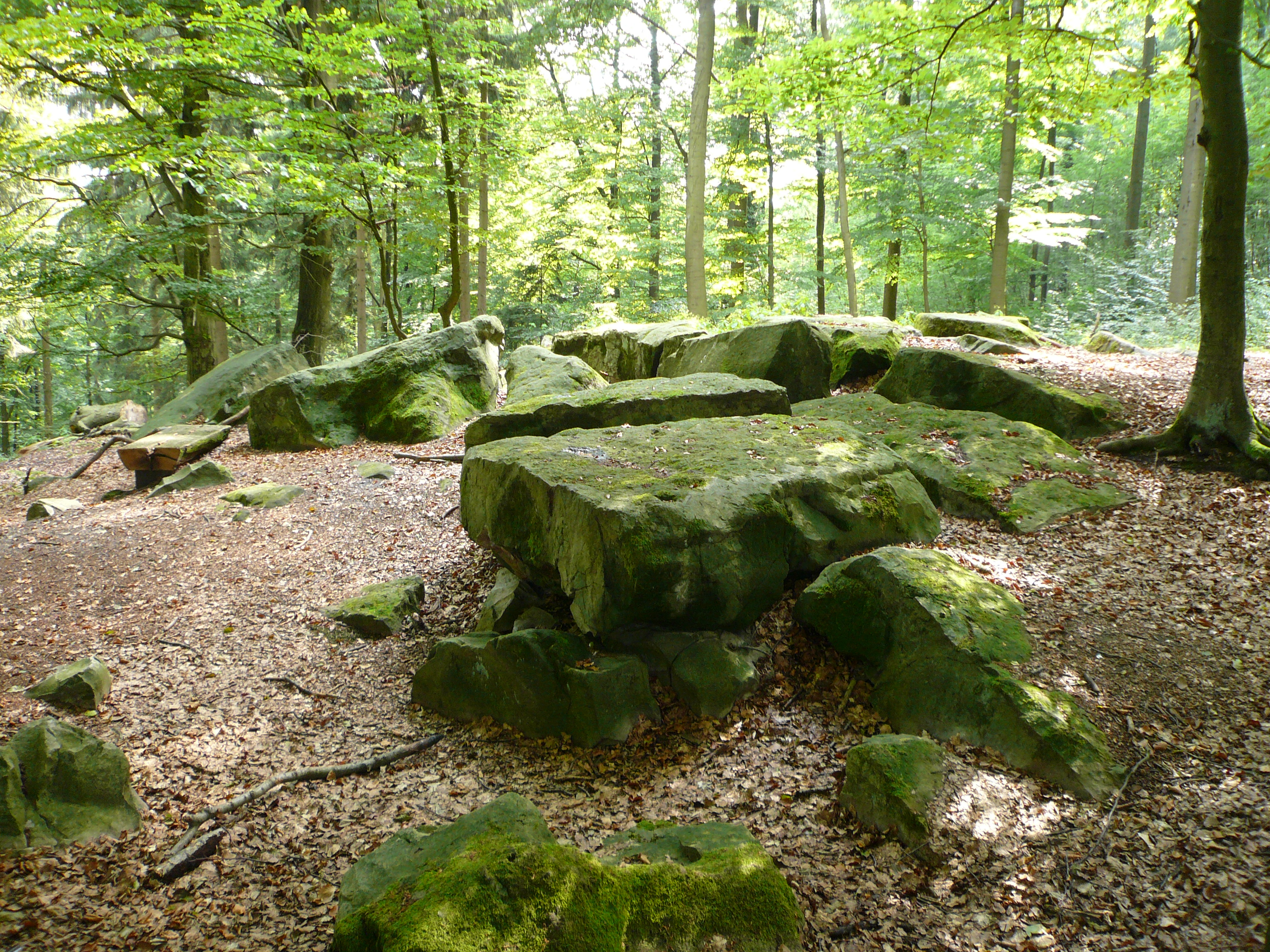 Altarsteine Hengelsberg