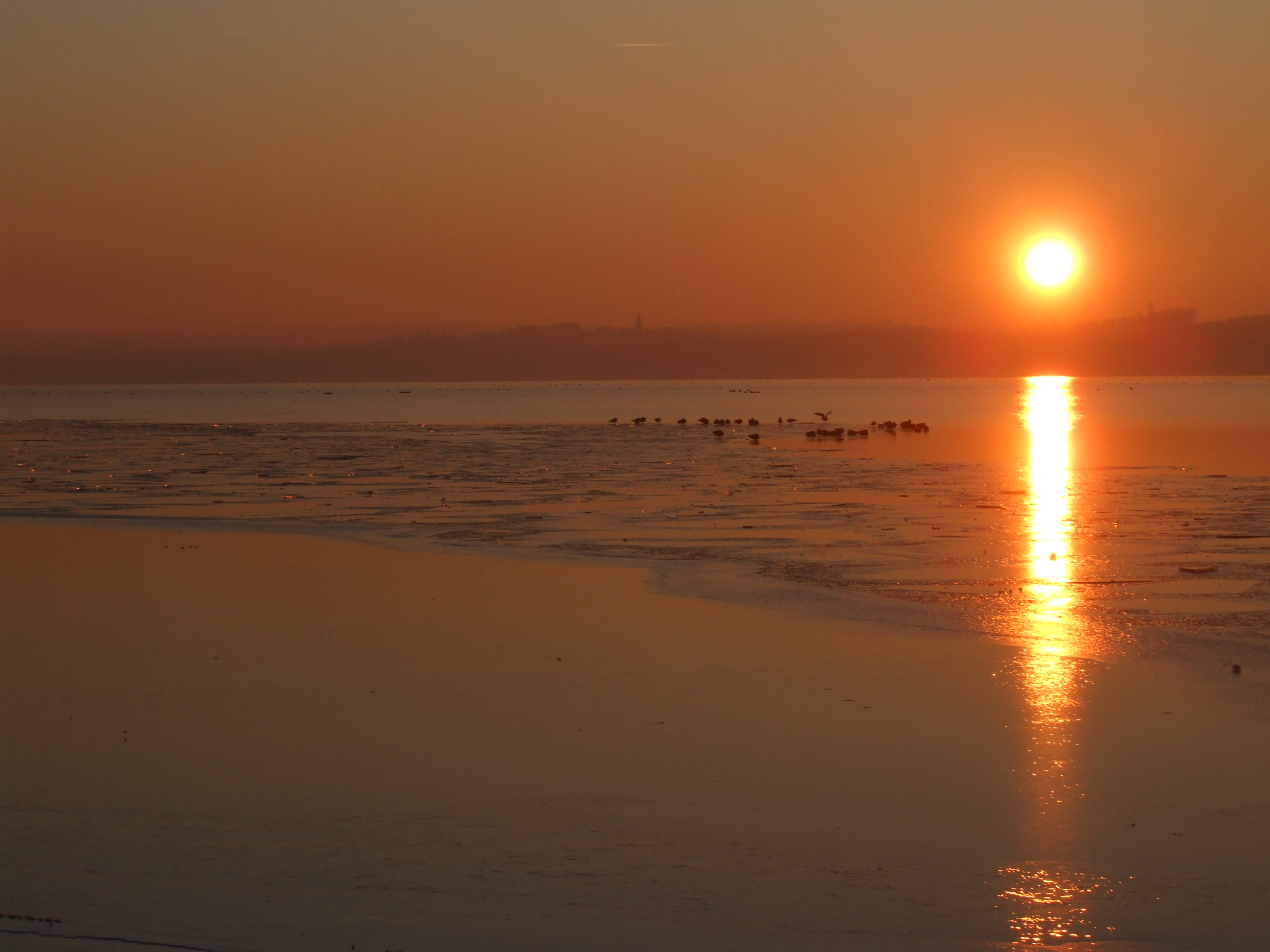 Ammersee Sonnenuntergang Jan 2009