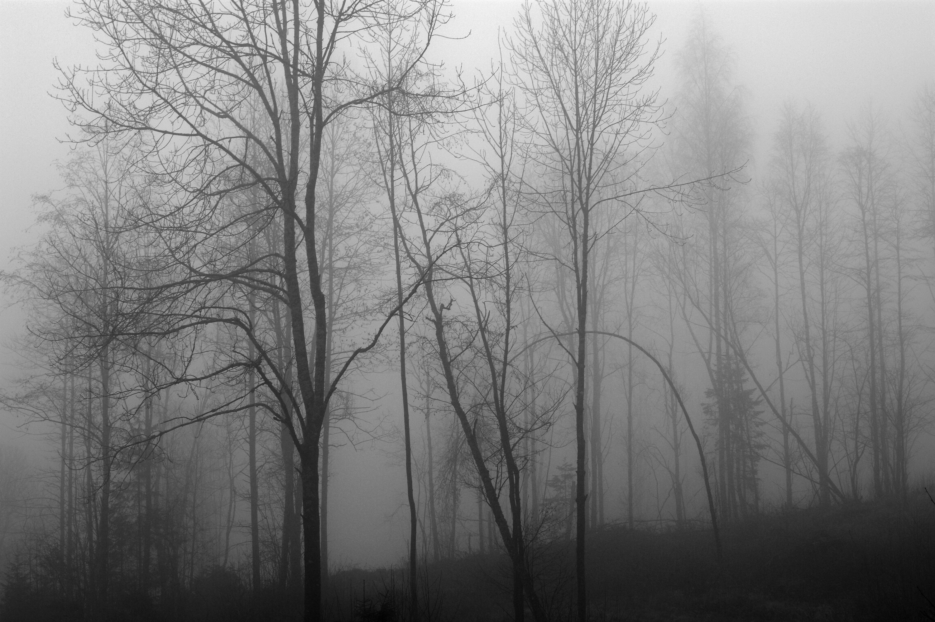 And then - November (6310199747)