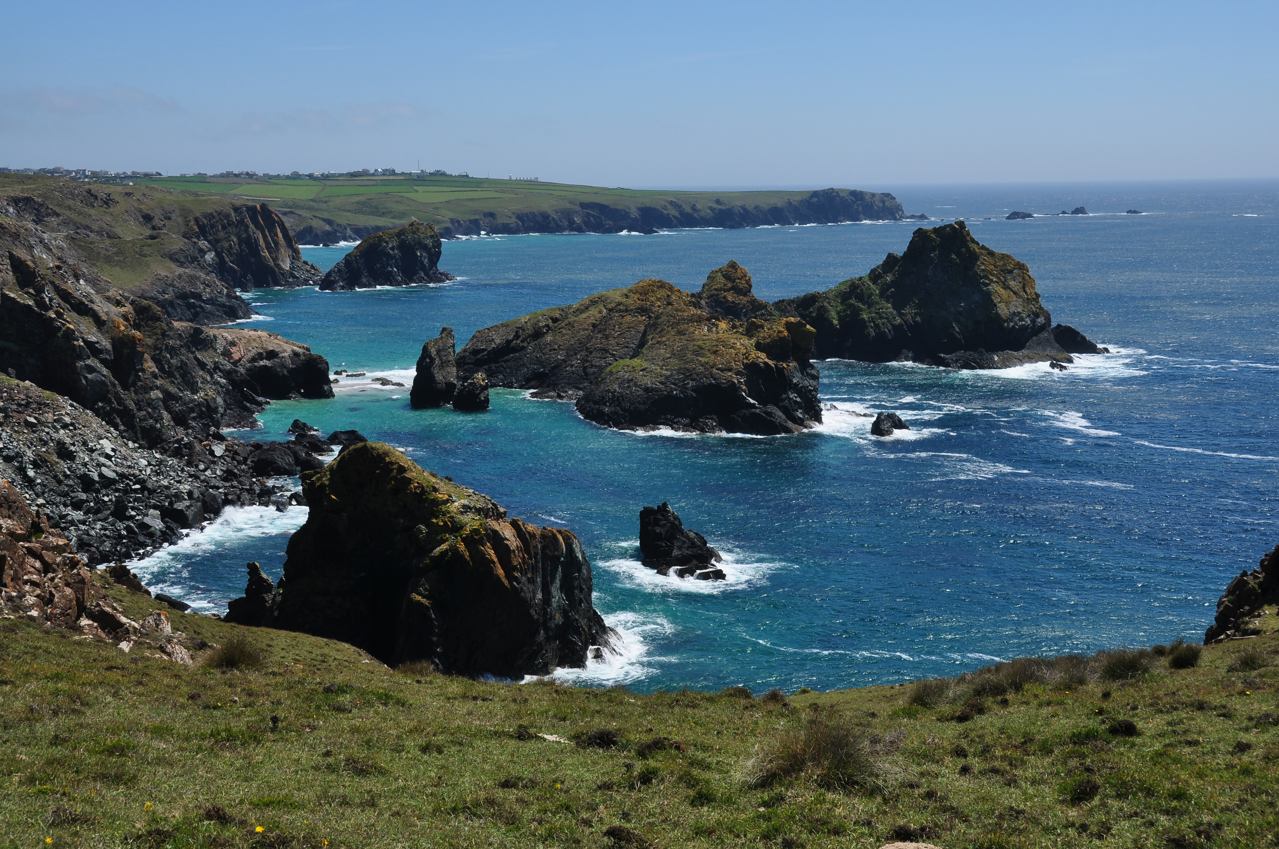 Asparagus Island and Gull Rock (8089)