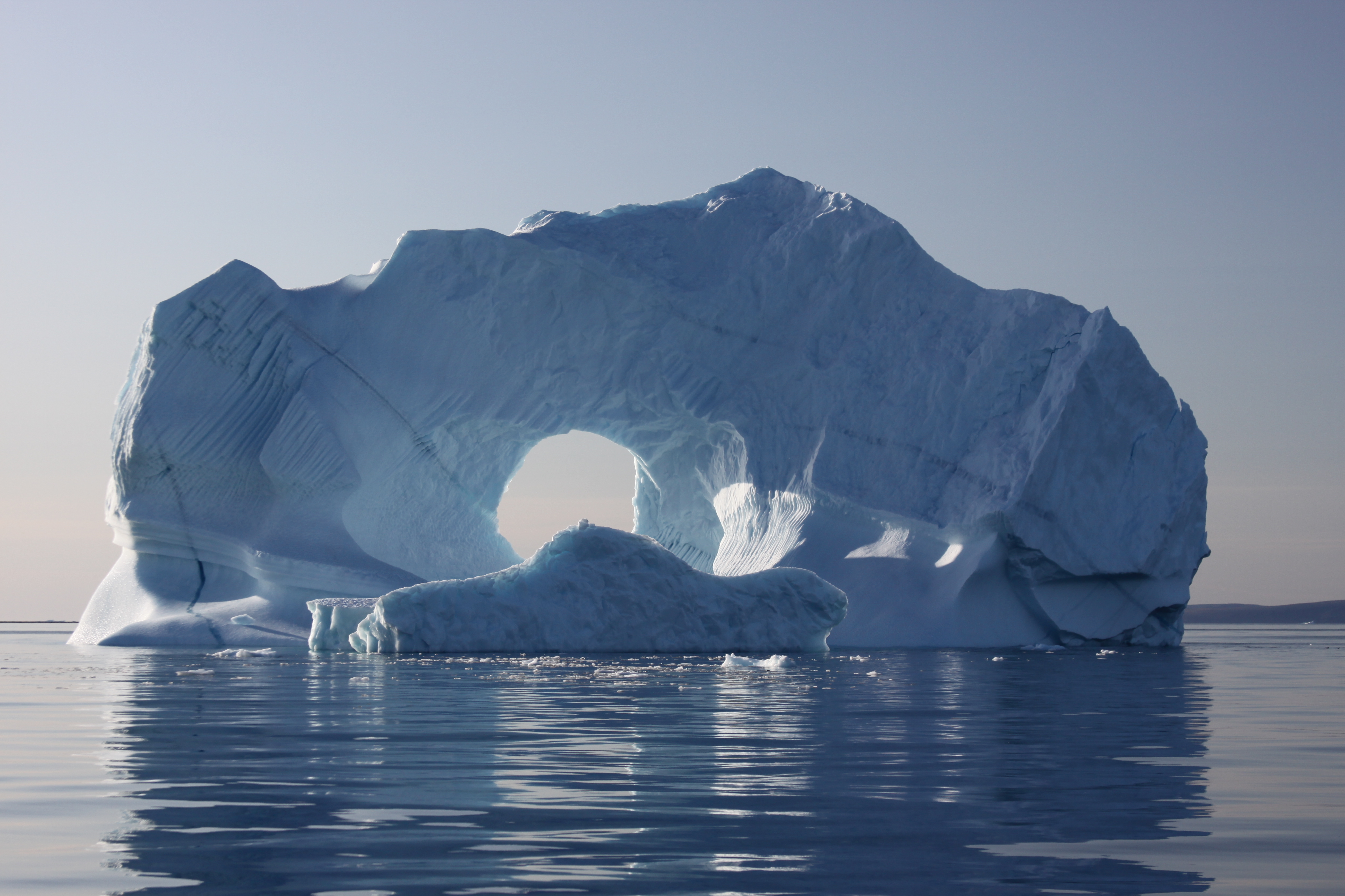 Assorted Icebergs (5396627551)