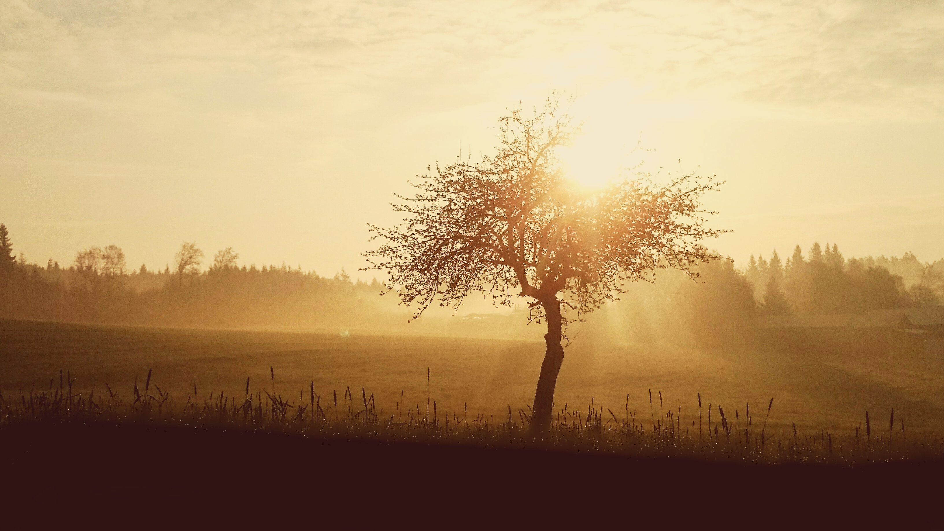 Austrian sunrise