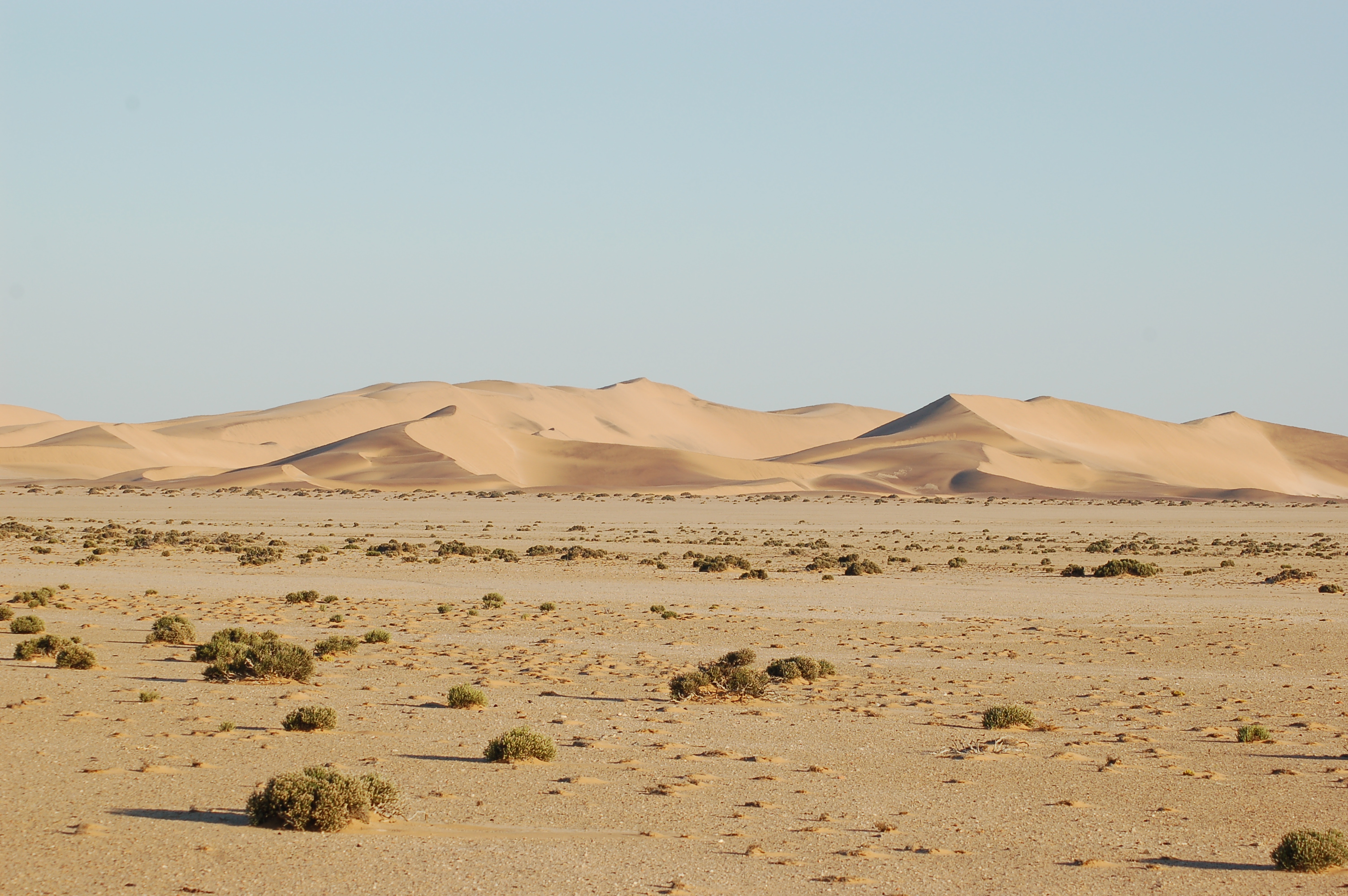Ballooning, Swakopmund Namibia (3052376323)