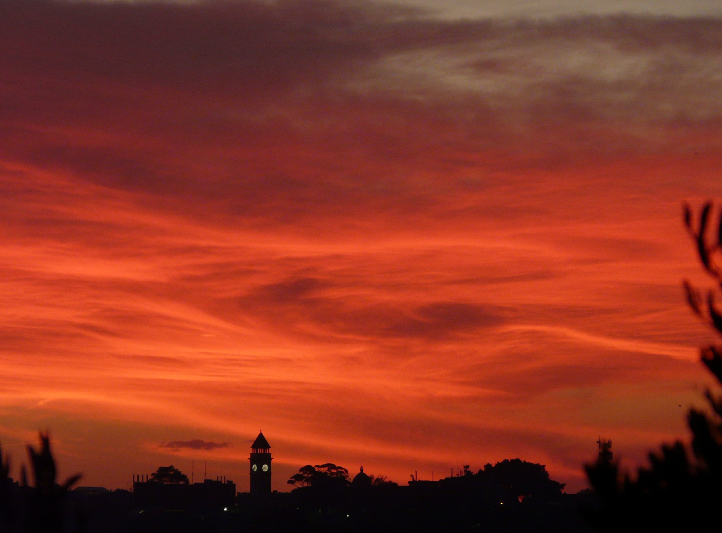 Balls Head Sunset1