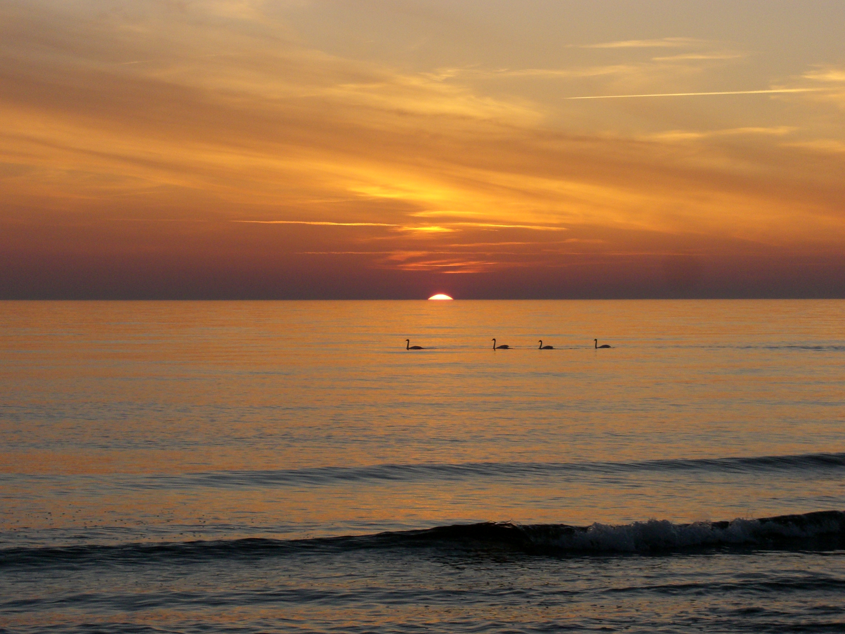 Baltic sea in Latvia(7)