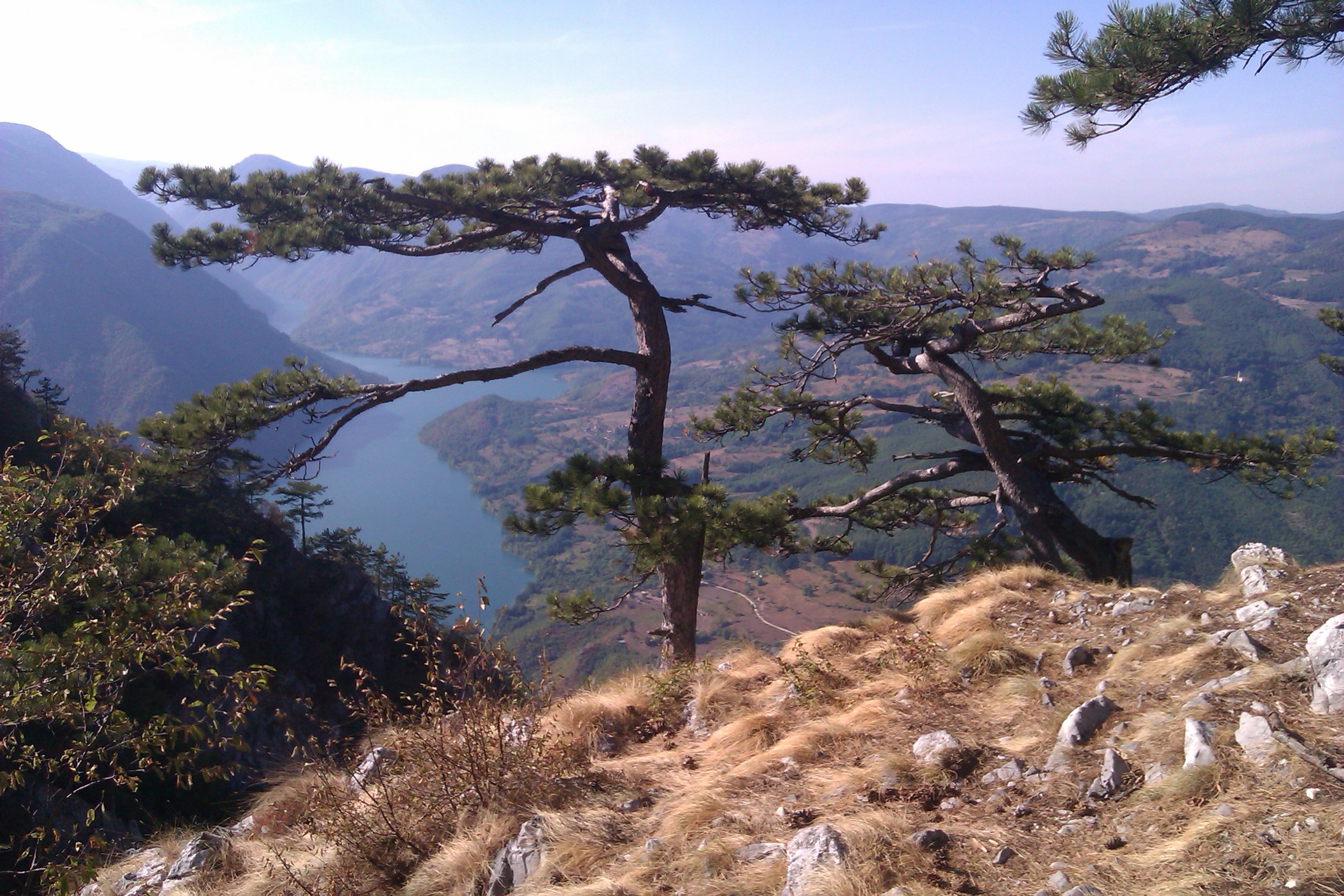Banjska stena