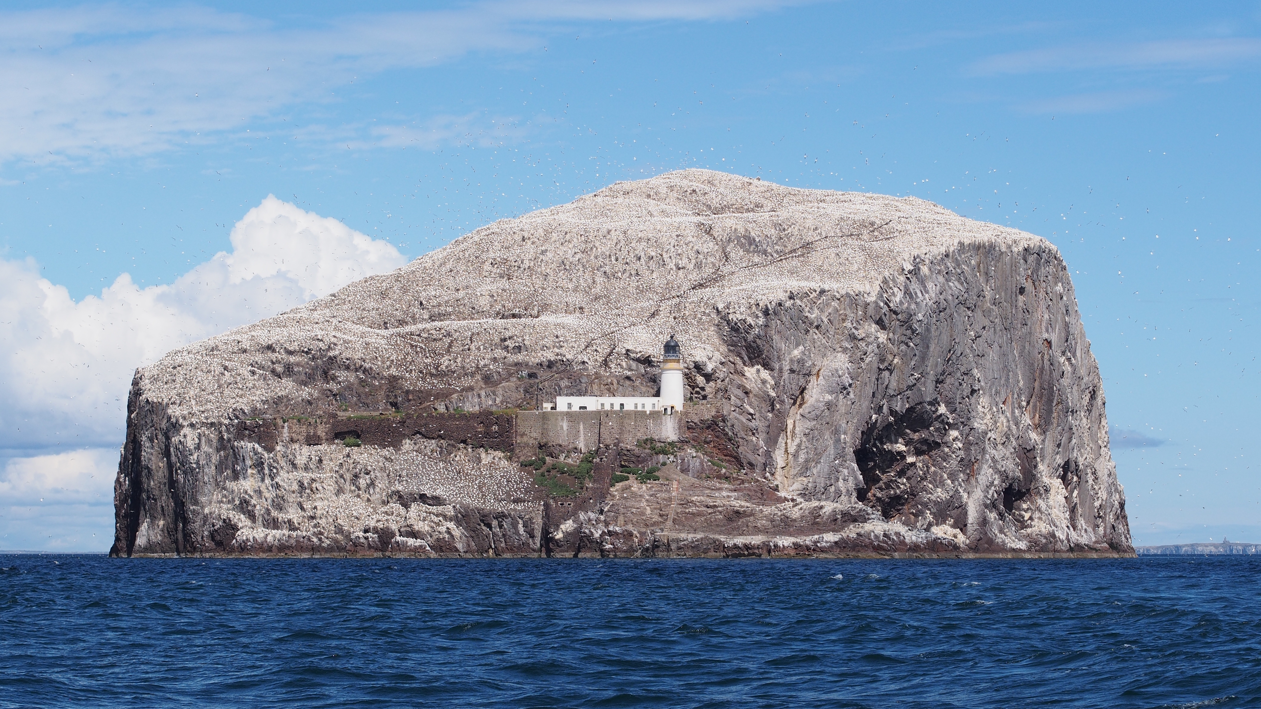 Bass Rock from south east