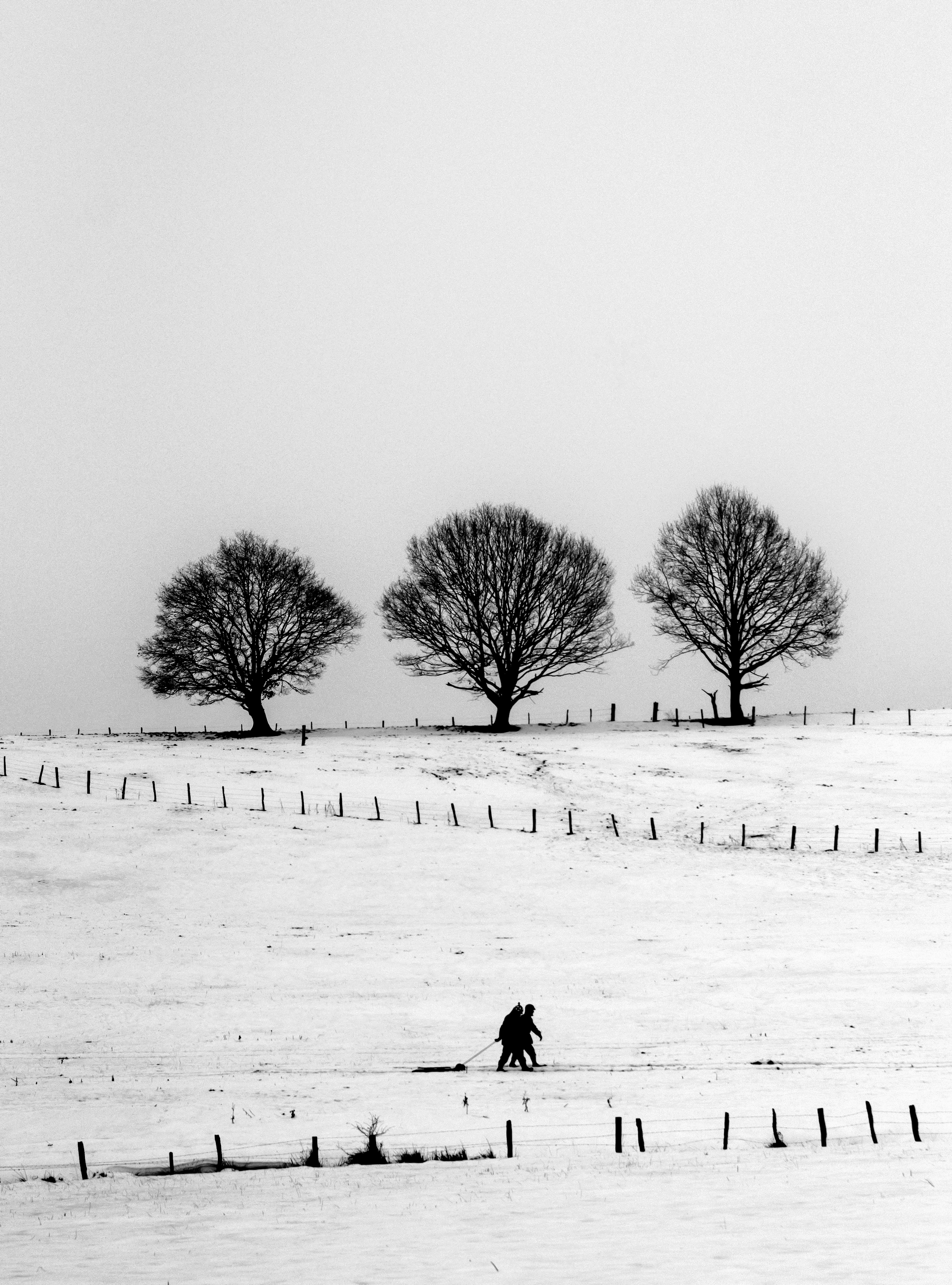 Bastogne Historic Walk 2010- Recogne (11322084336)