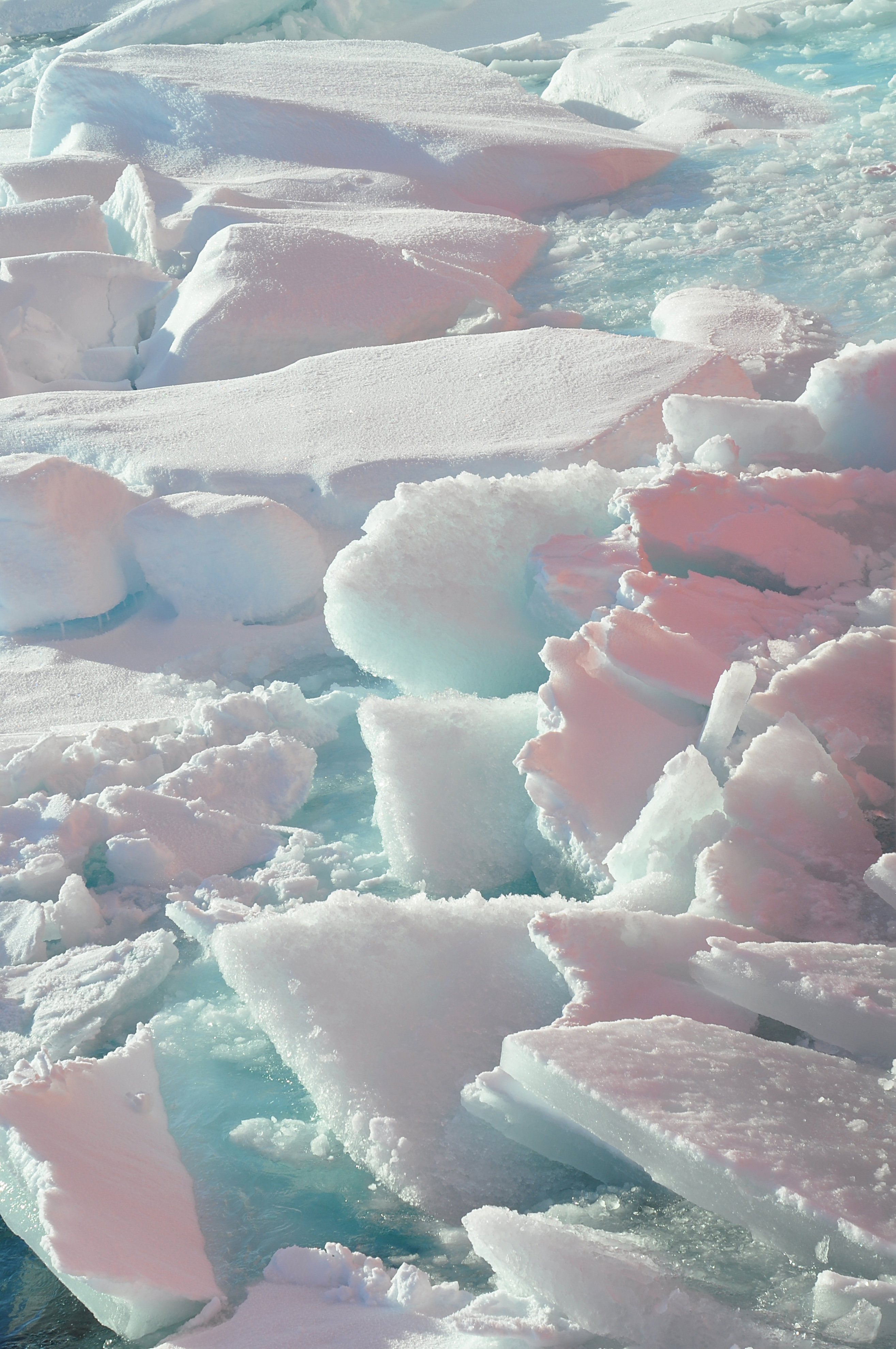 Broken Ice (4370263245)