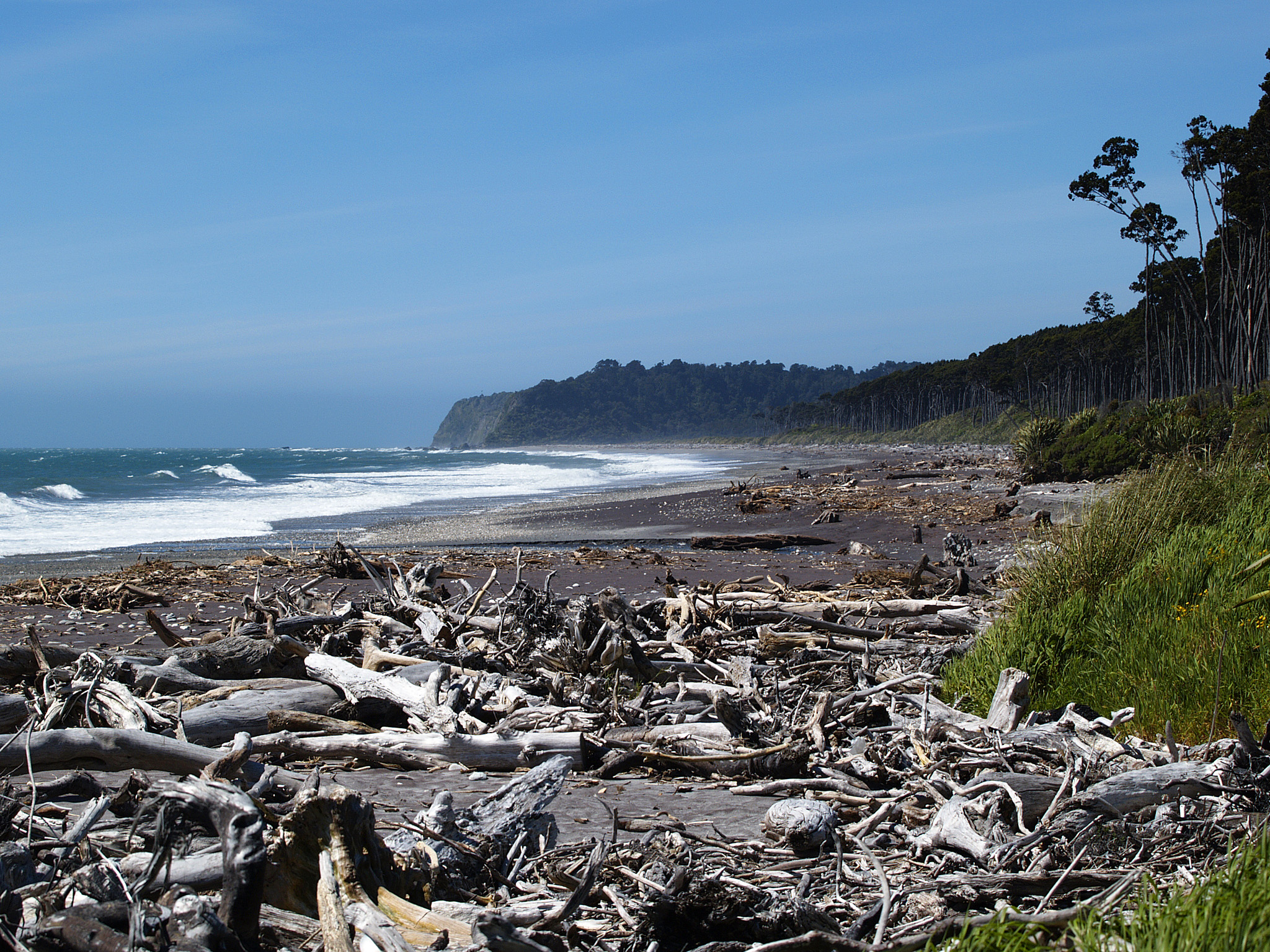 Bruce Bay, New Zealand 2004