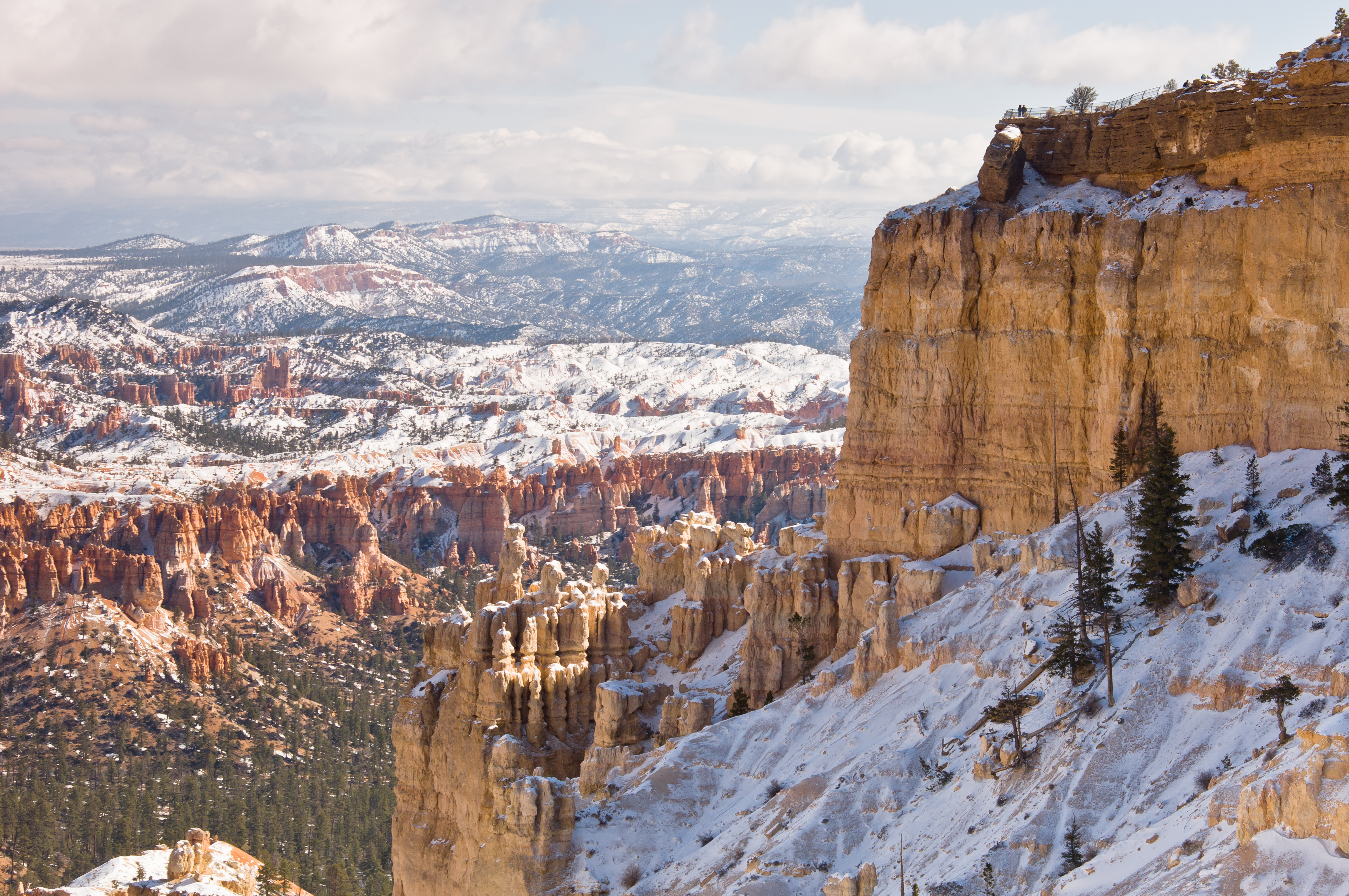 Bryce Canyon, Rim Trail 06