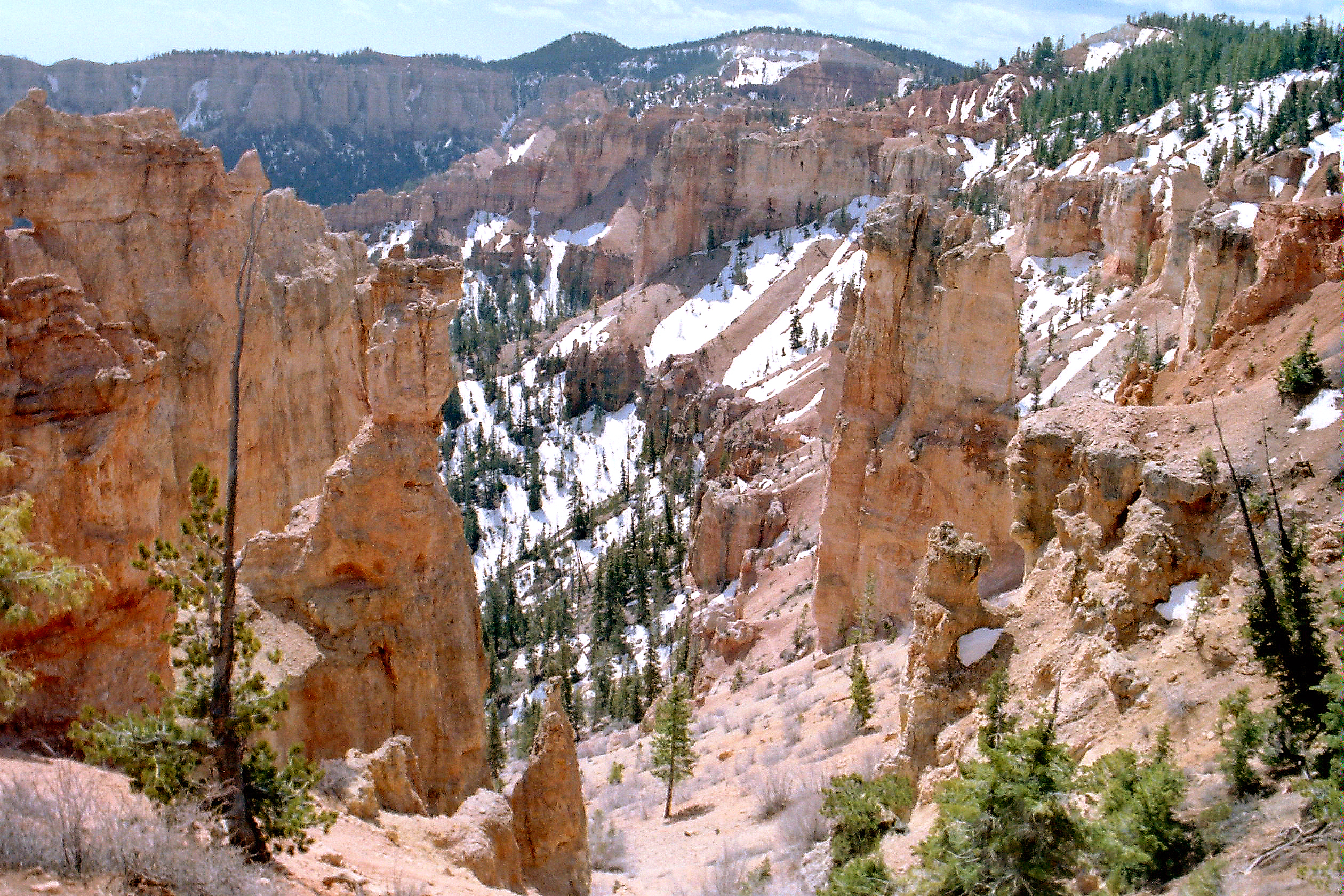 Bryce Canyon NP29