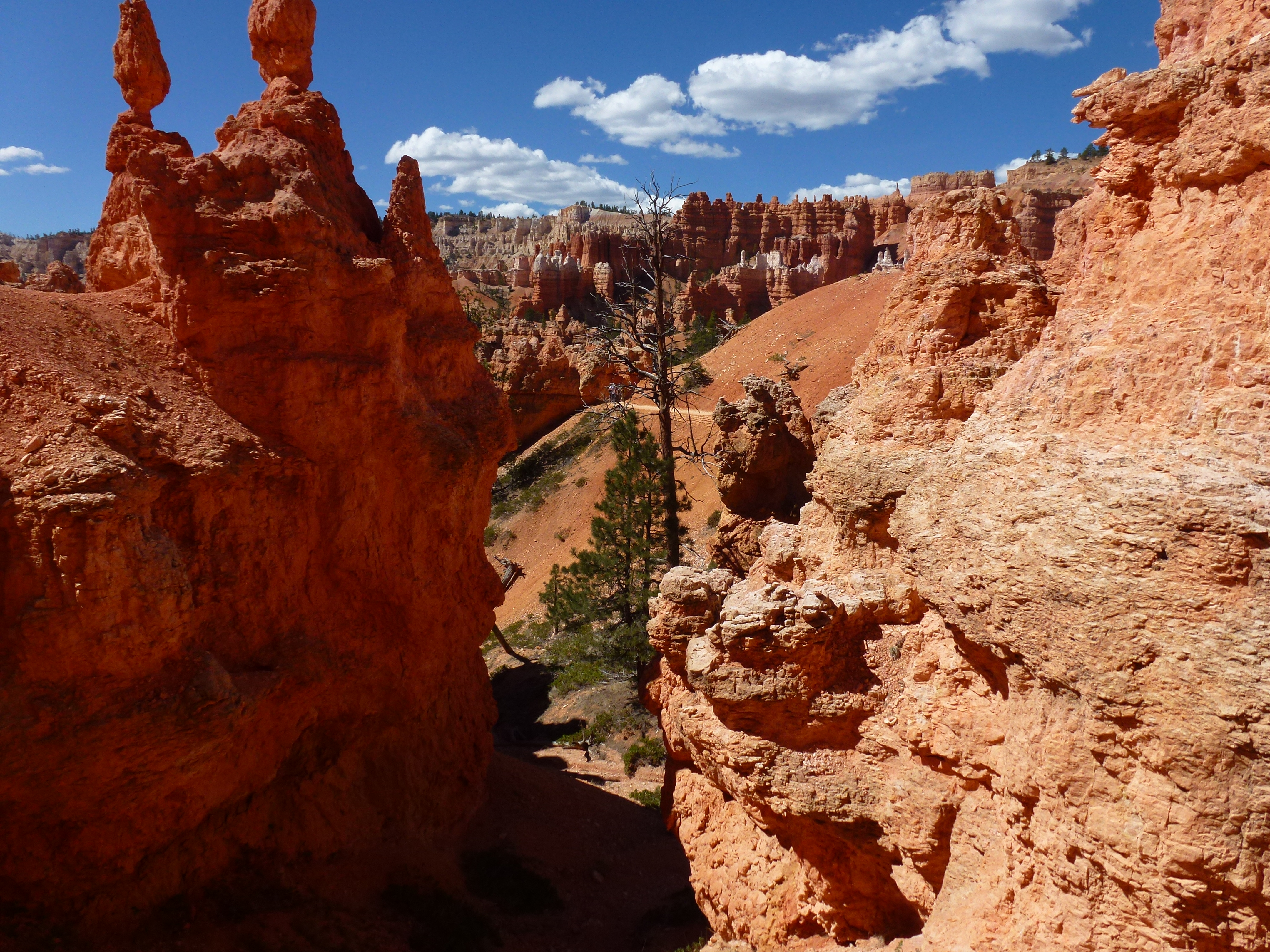 Bryce Canyon Parc national (29)