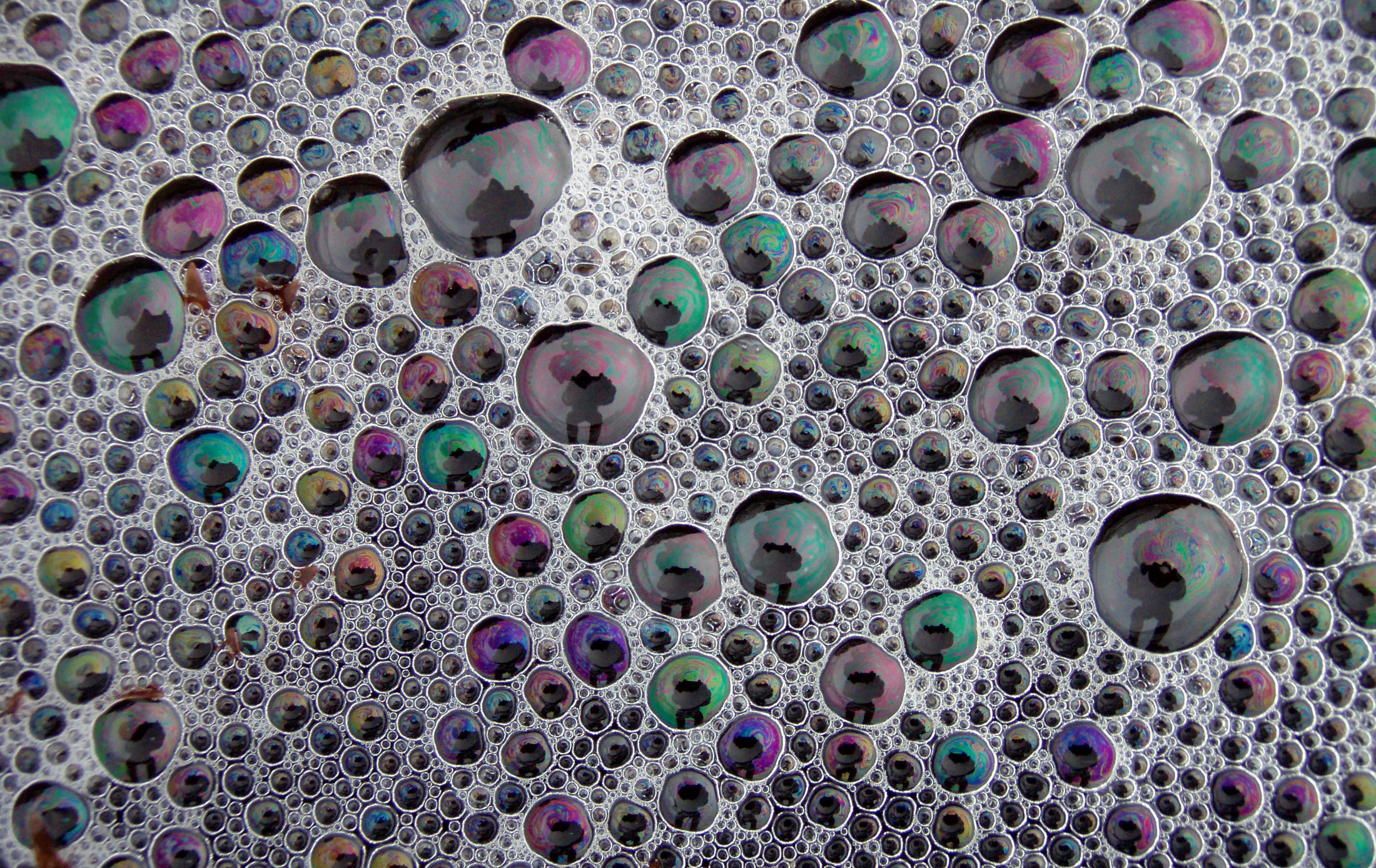 Bubbles at tide pools 2