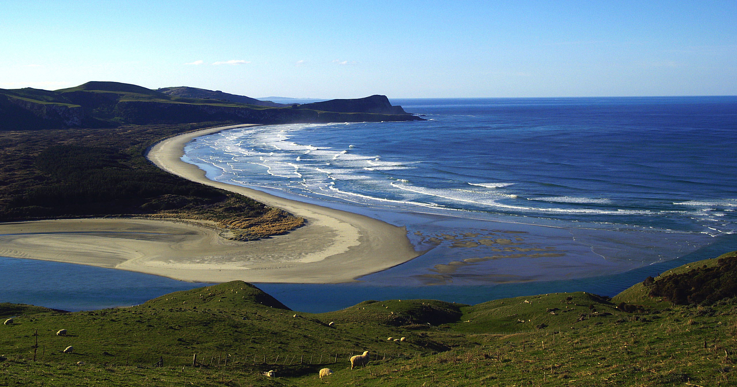 Cape Saunders Otago Peninsula