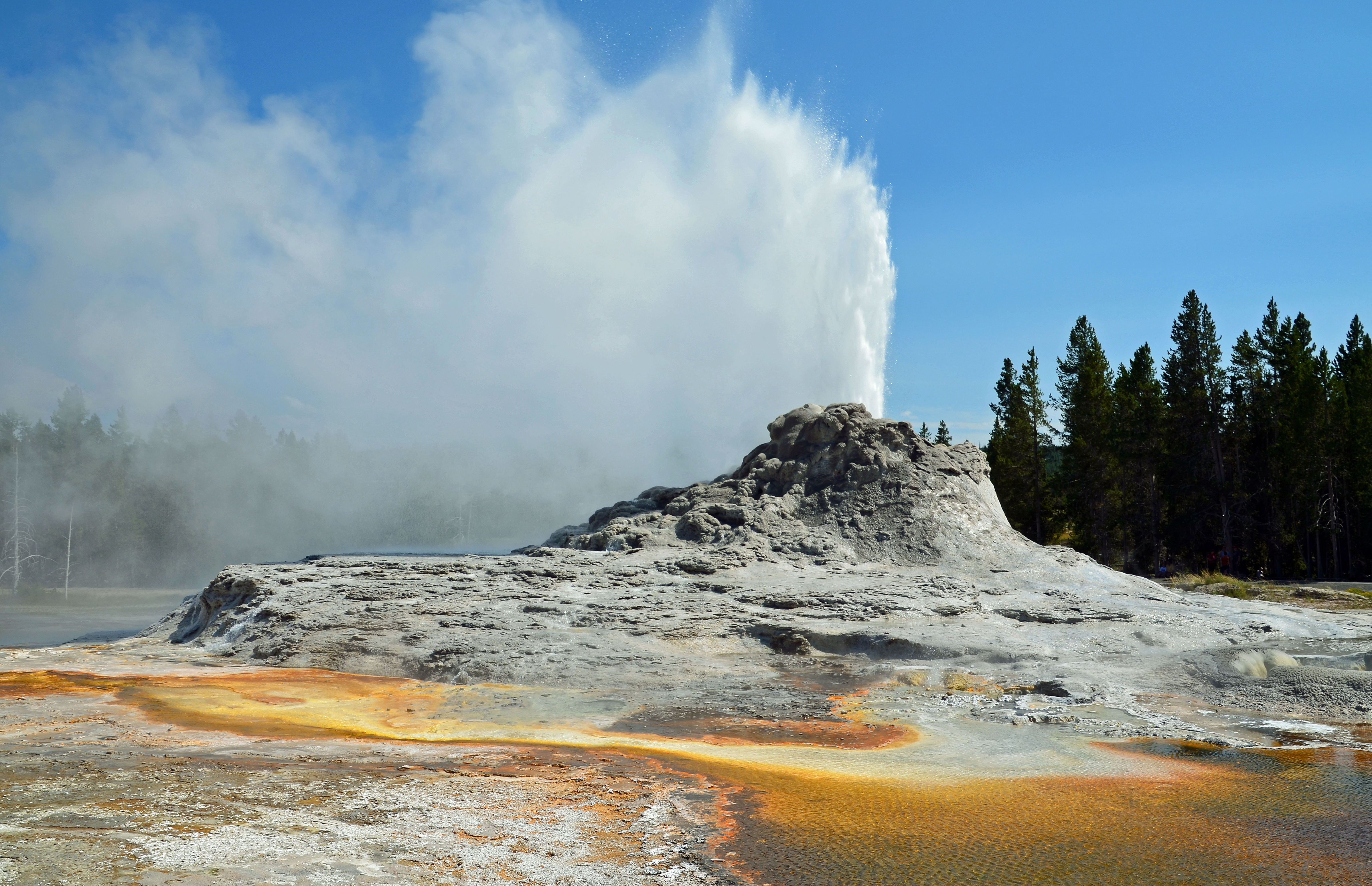 Castle Geyser Yellowstone