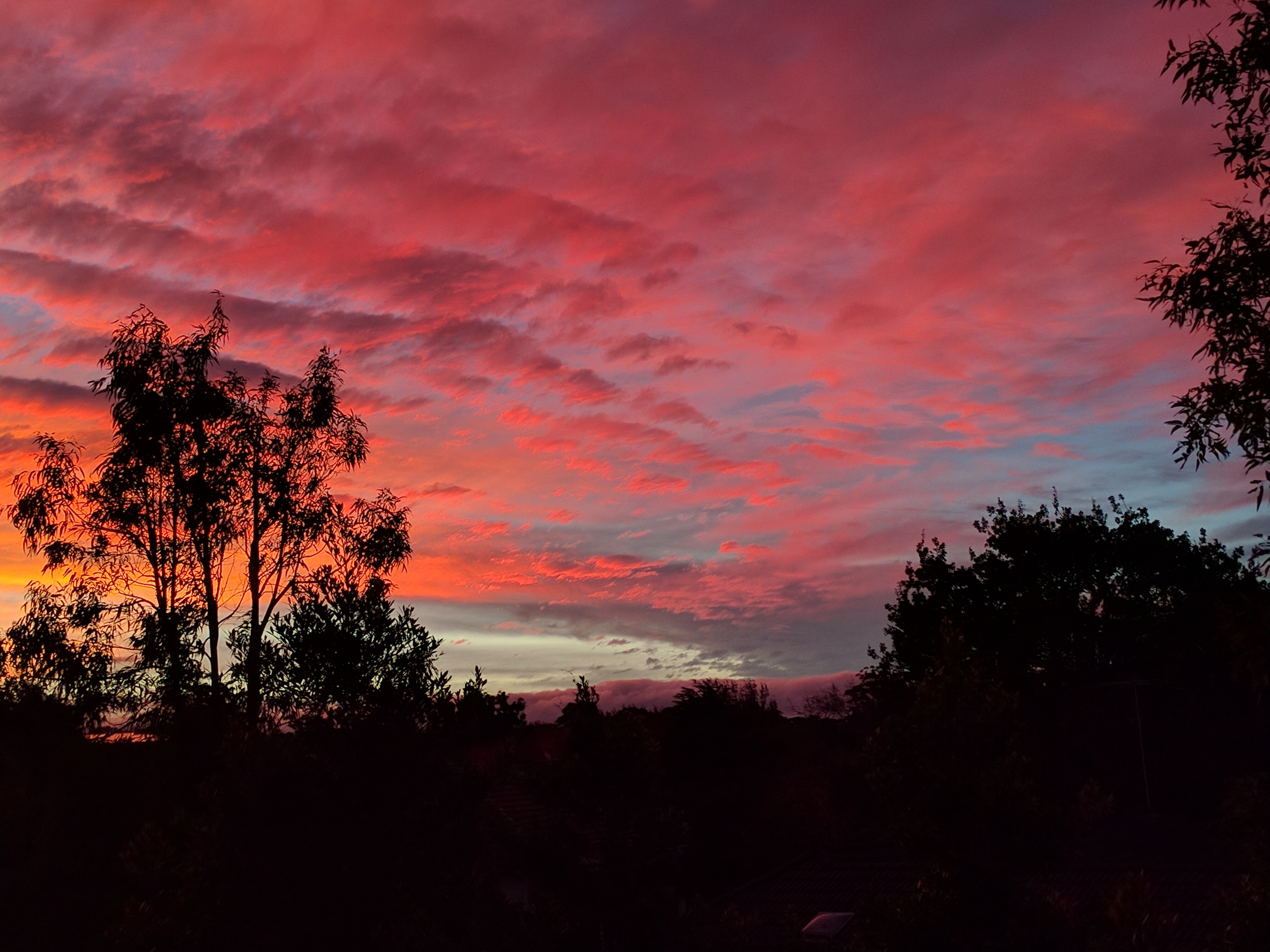 Cherry St Autumn Sunset 02