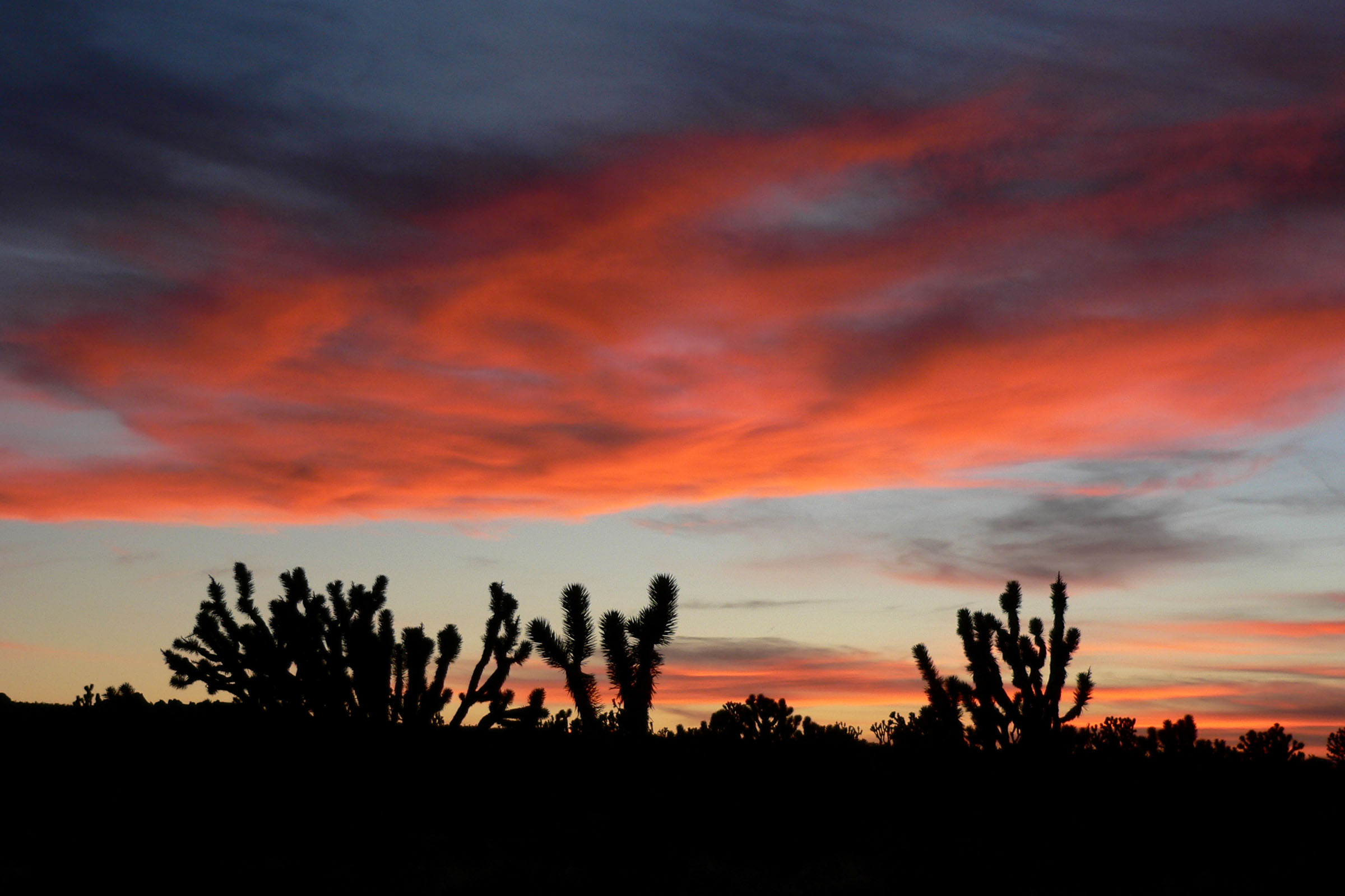 Cima Dome sunset 1
