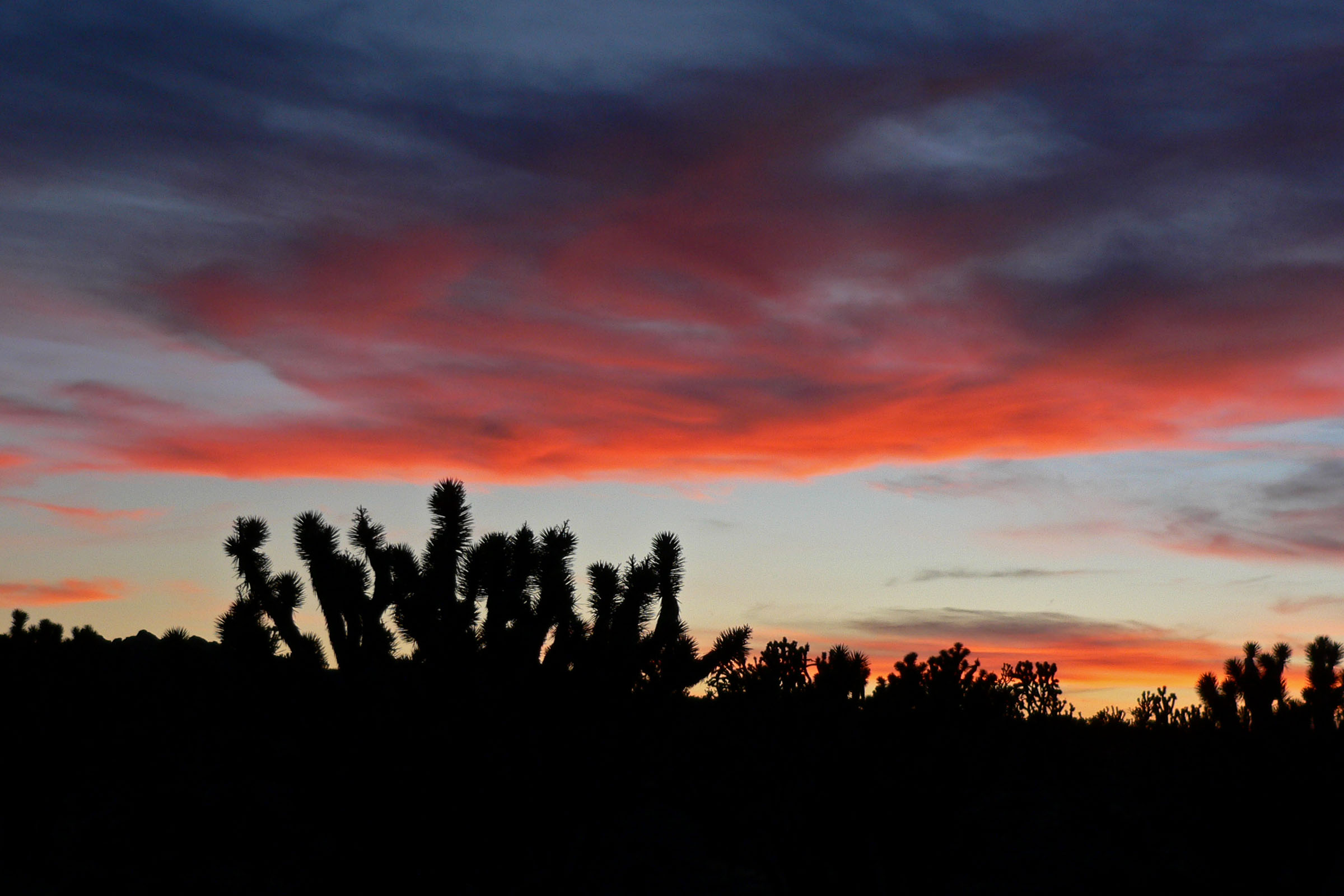 Cima Dome sunset 2