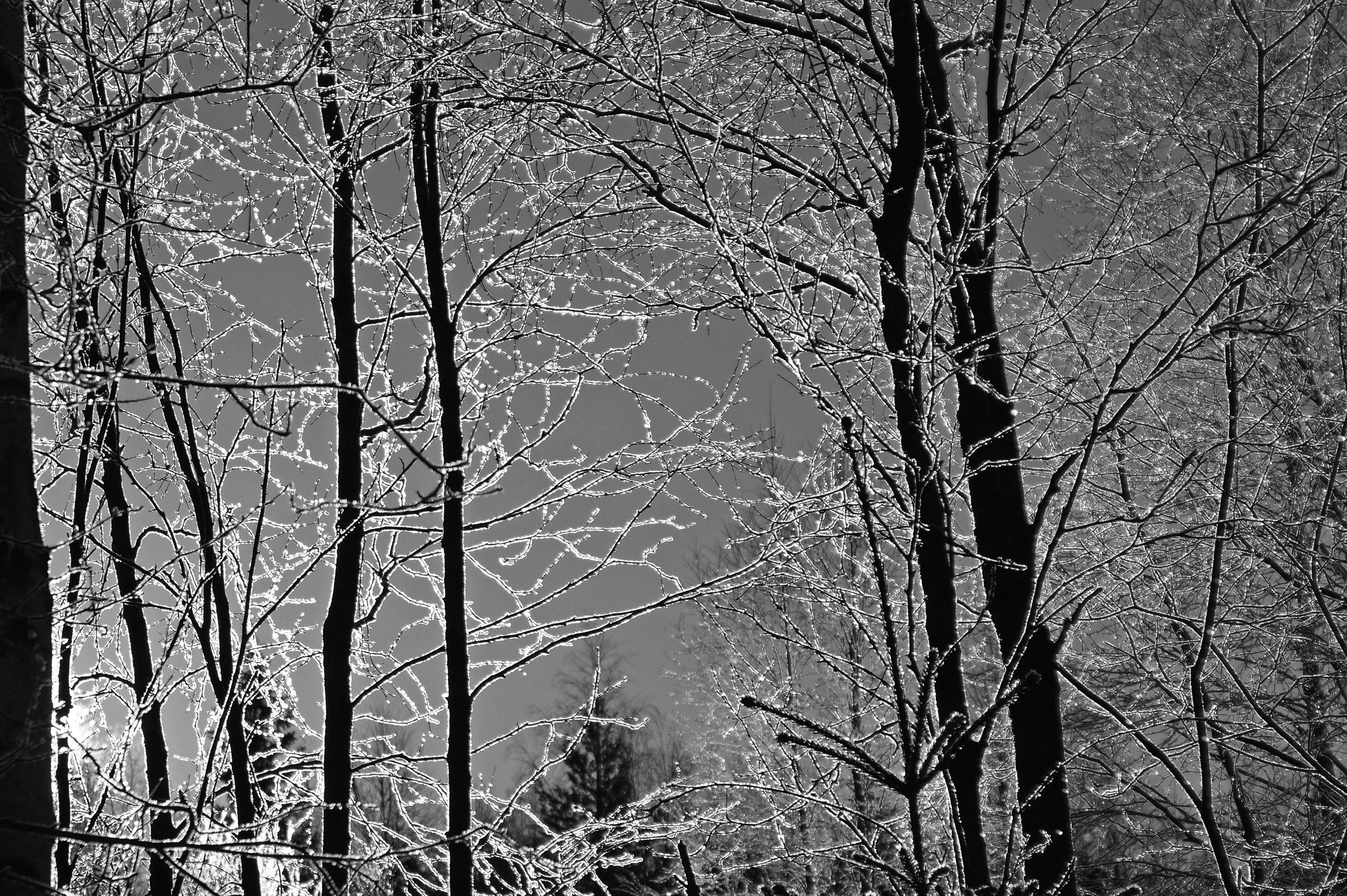 Cold (5397172331)