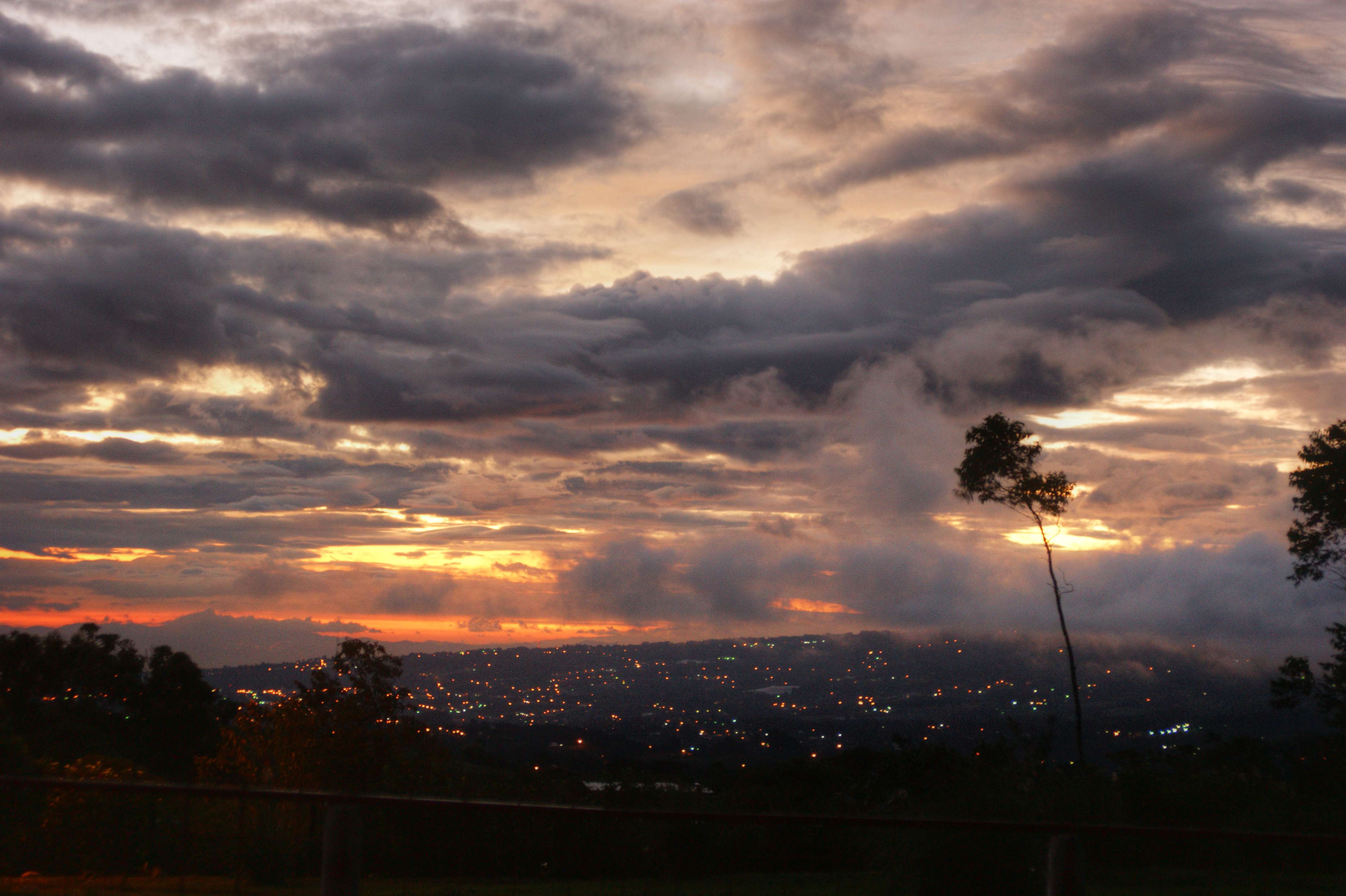 Coronado landscape 110