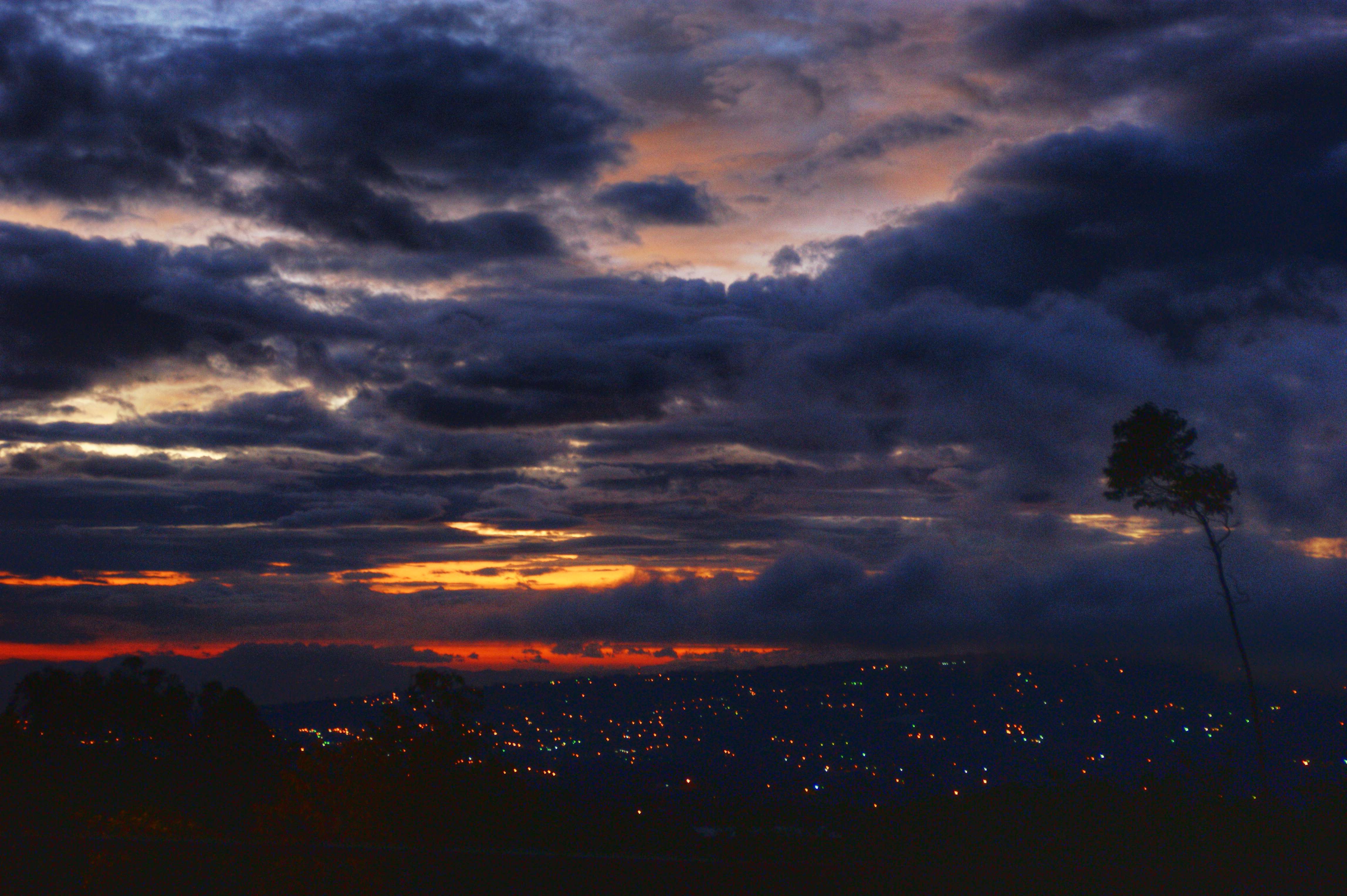 Coronado landscape 113