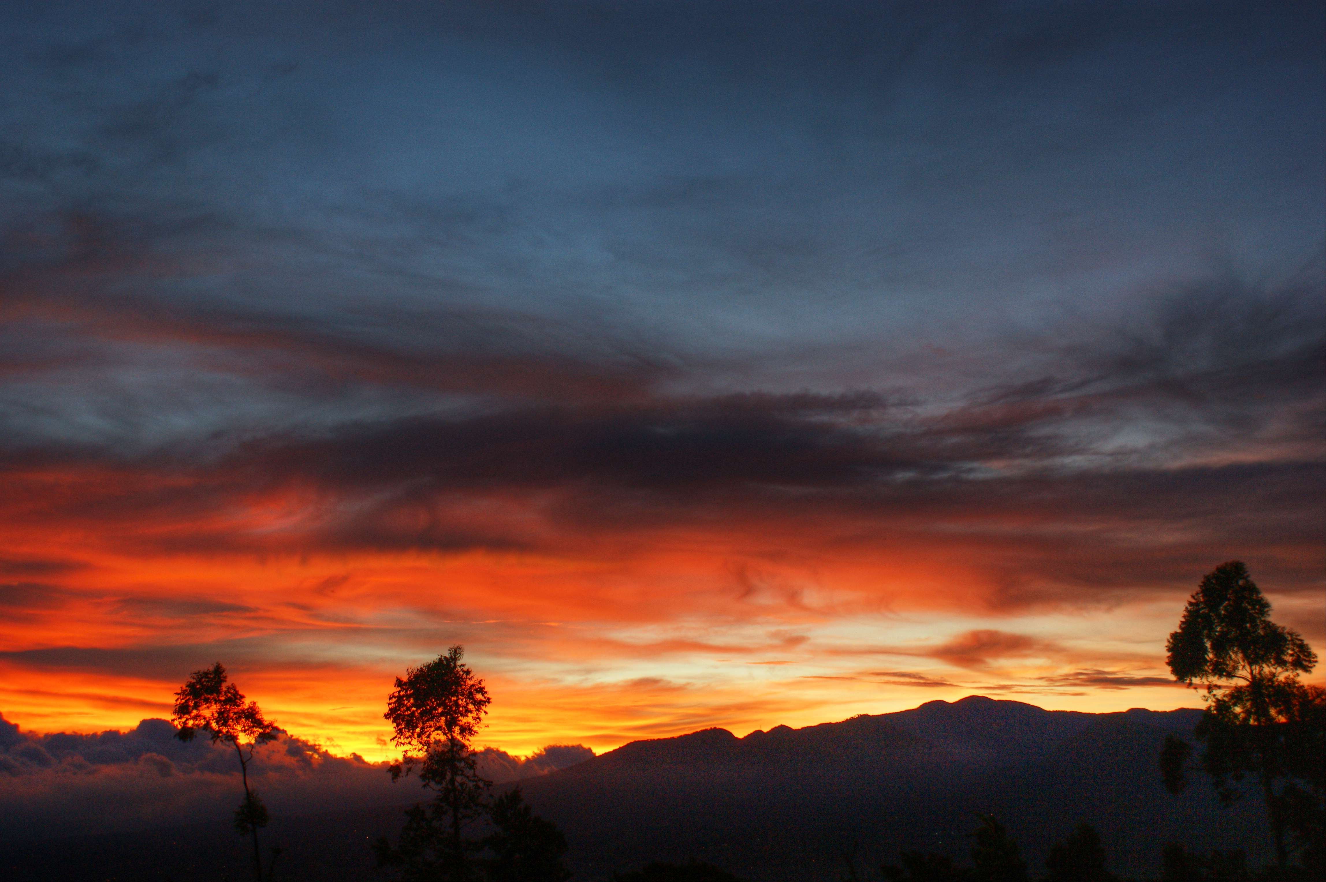 Coronado landscape 144