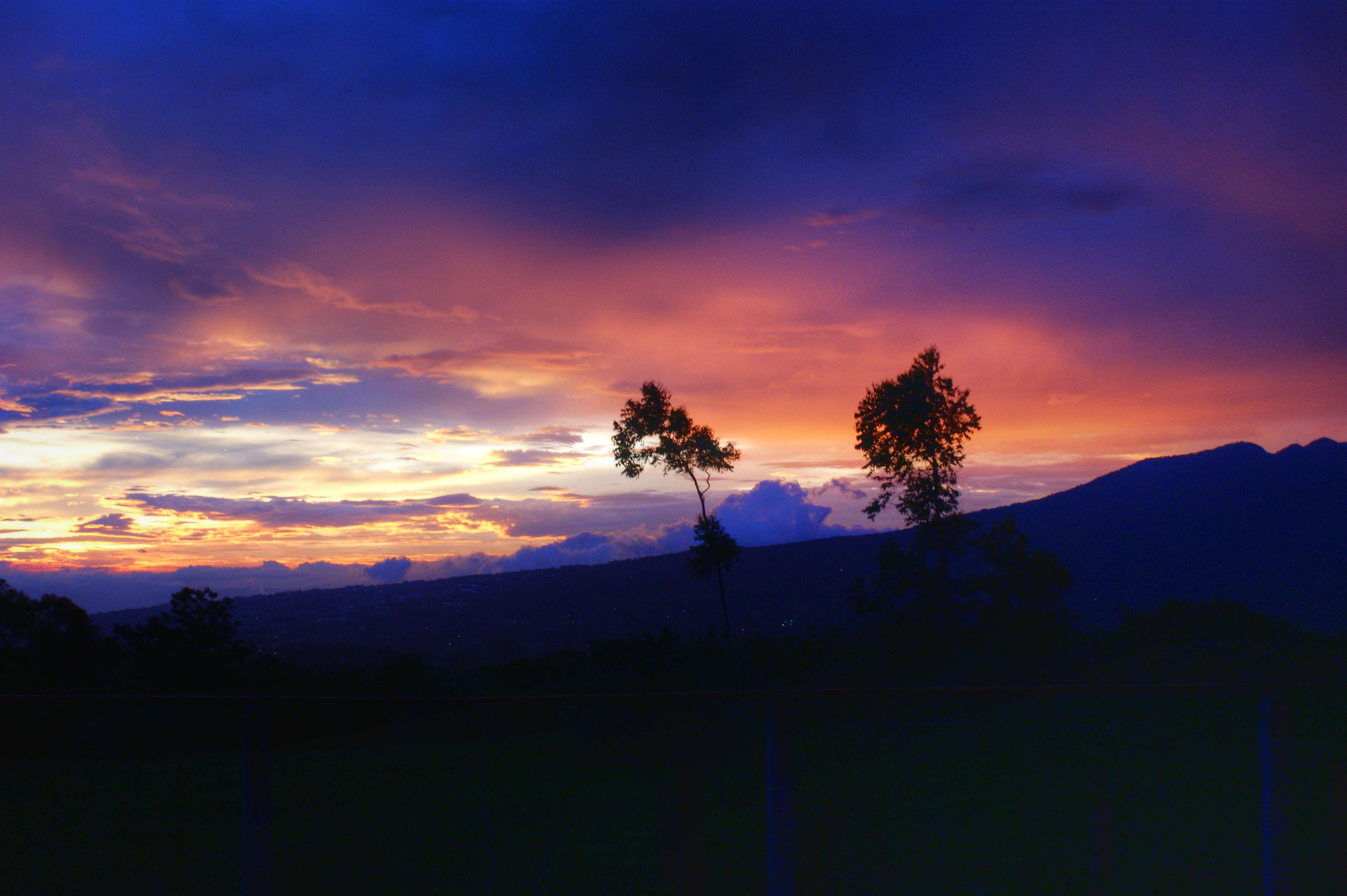 Coronado landscape 151