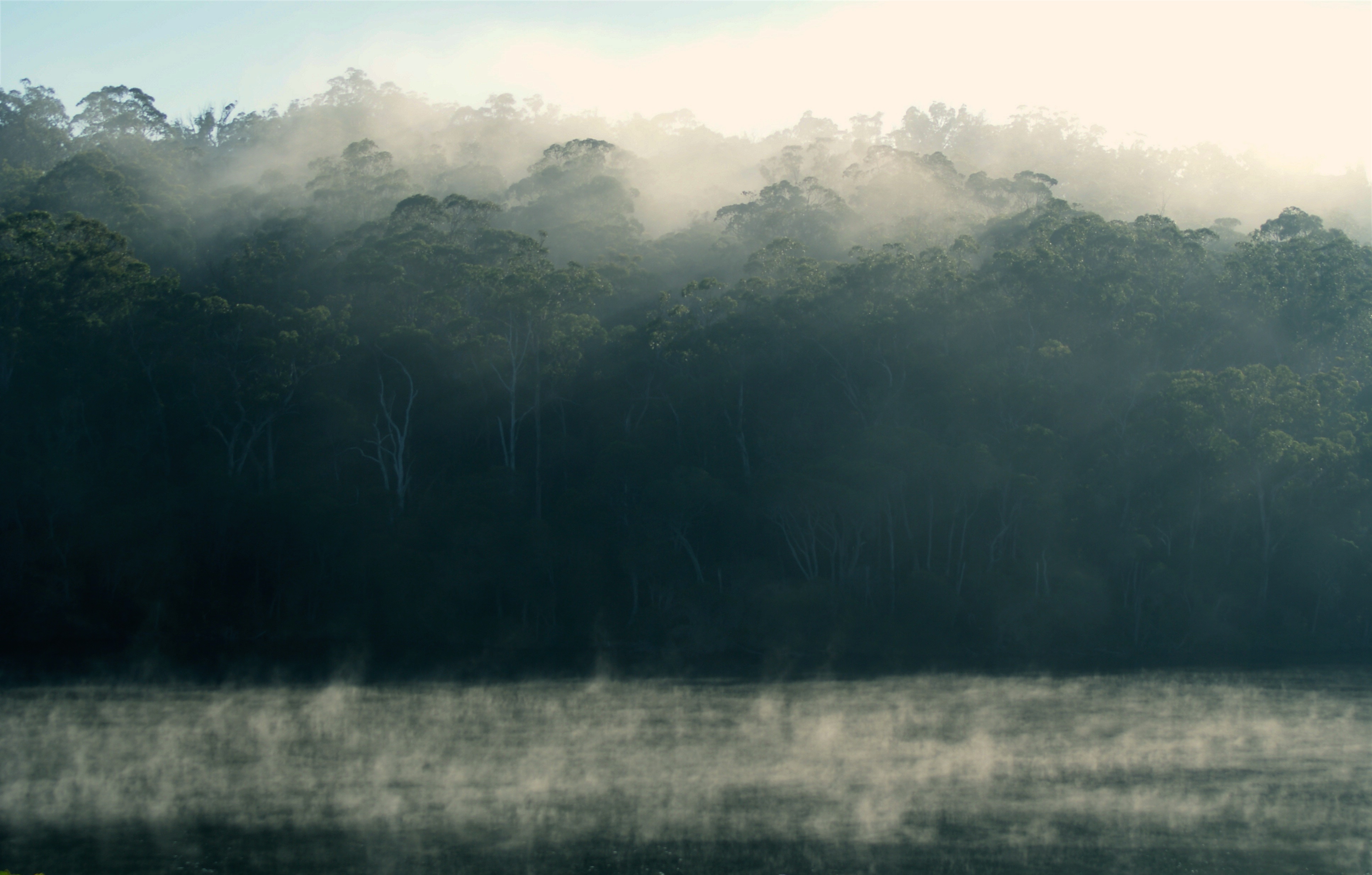 Croajingalong National Park. Victoria, Australia