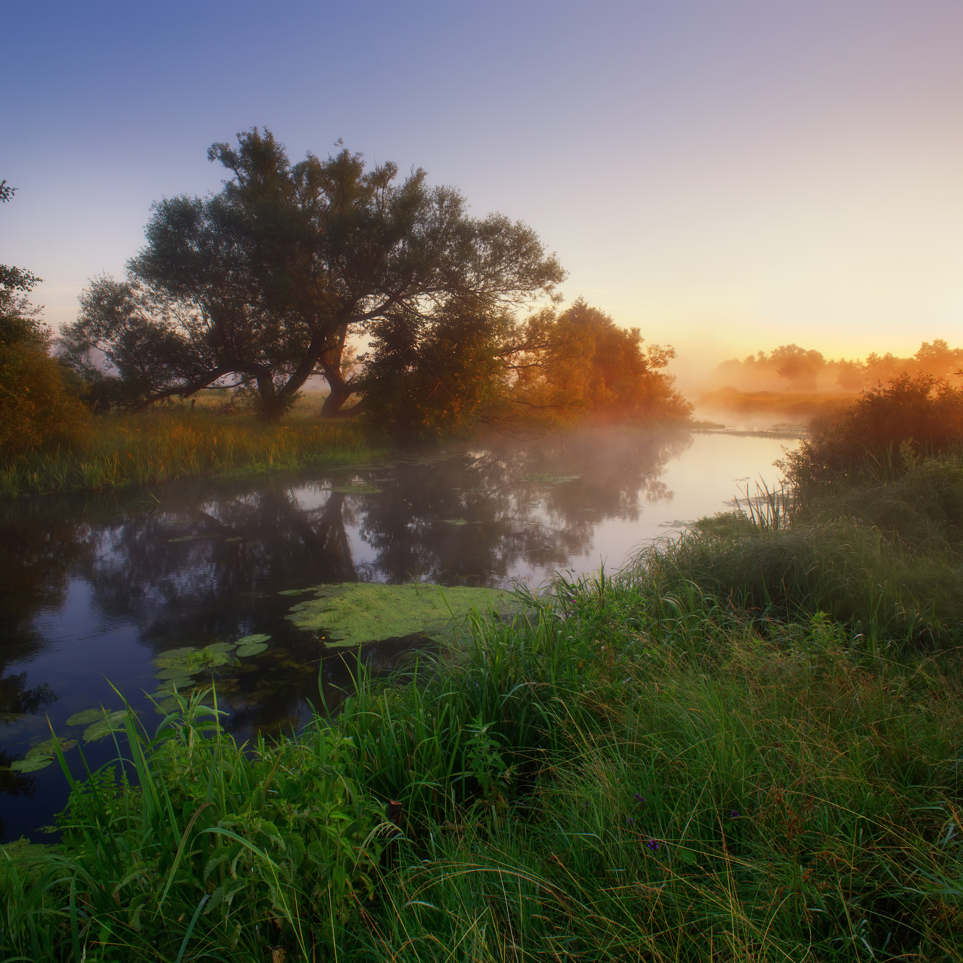 Vovcha river, Ukraine. Morning fog. Річка Вовча. Ранковий туман