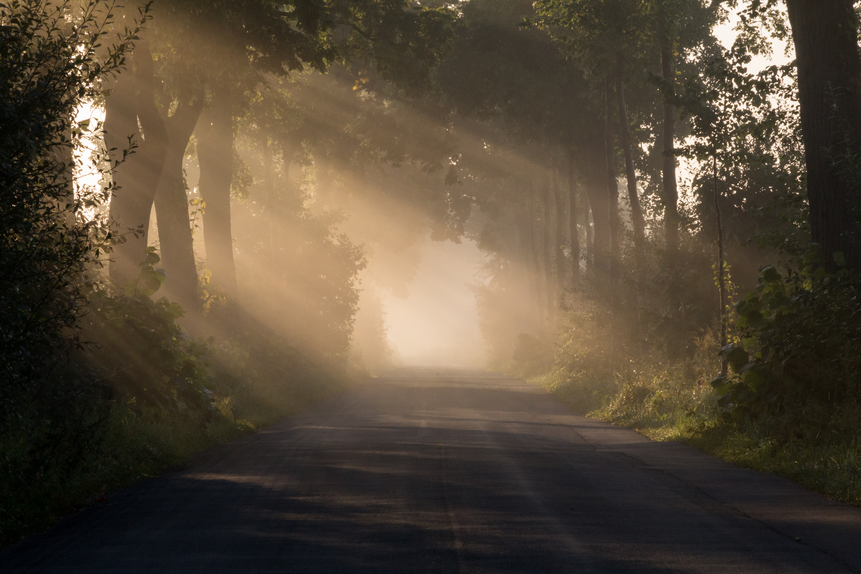 Dülmen, Umland, Sonnenaufgang -- 2012 -- 9