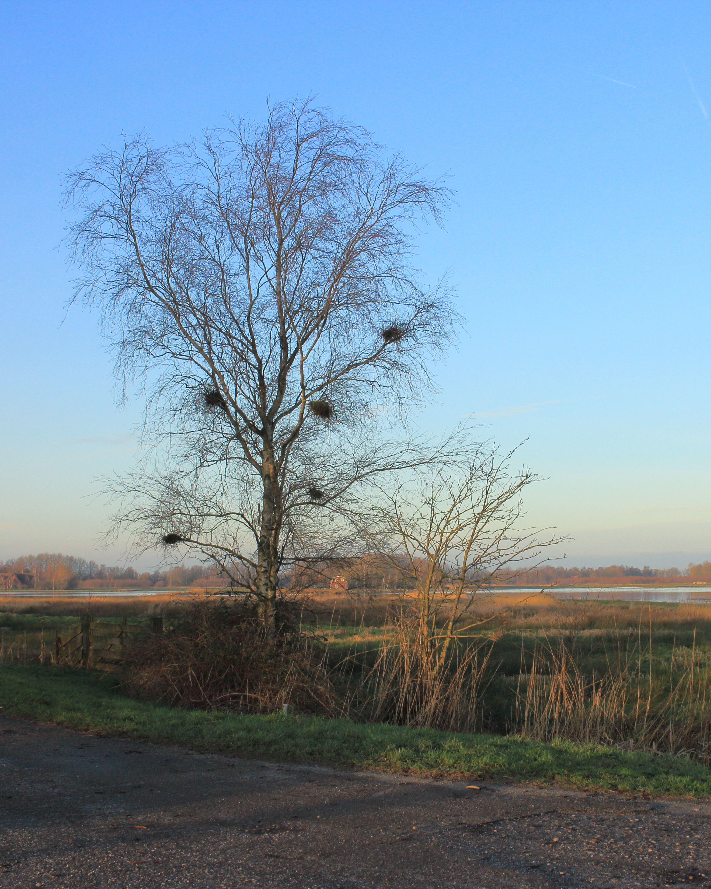 De Alde Feanen Jan Durkspolder