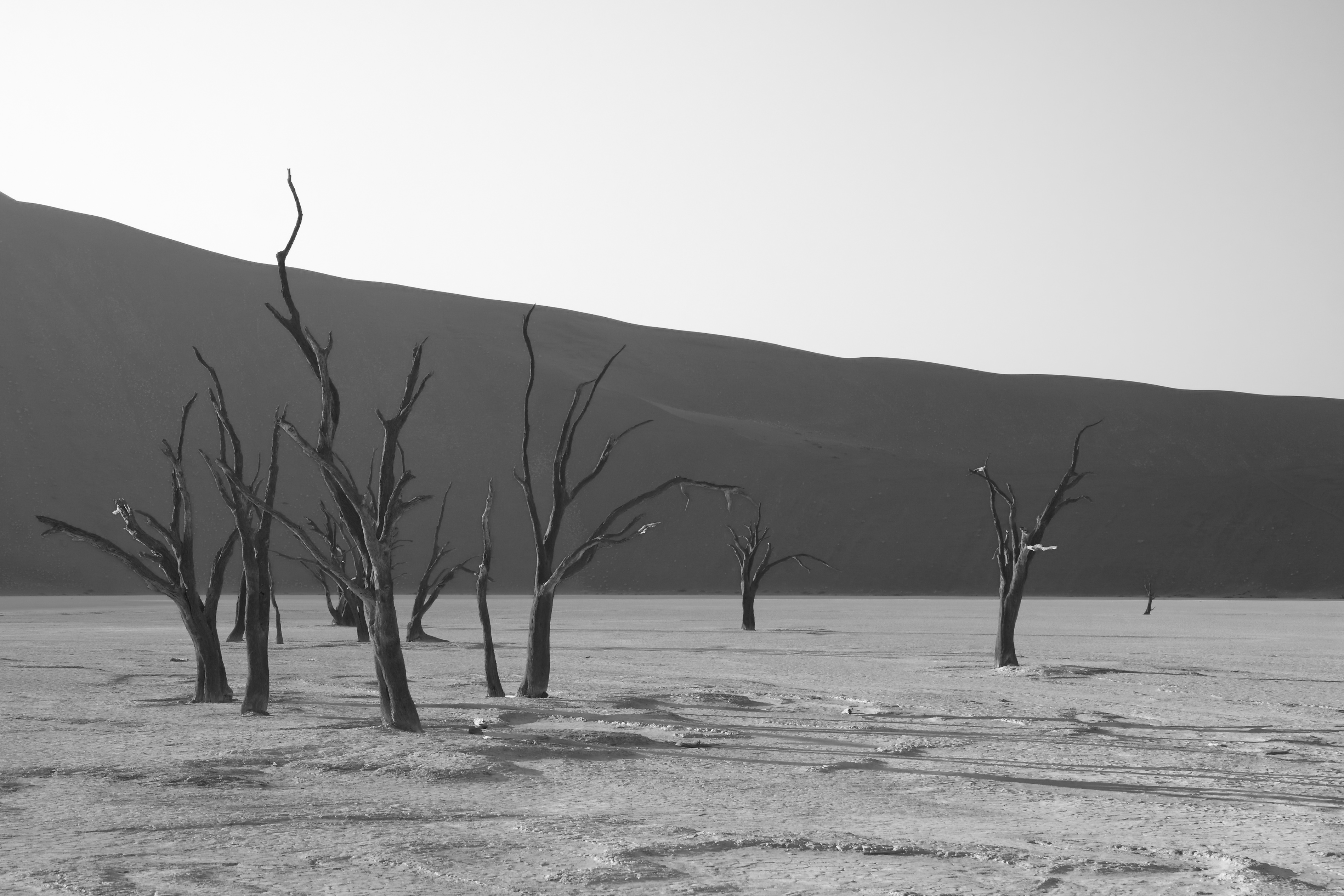 Dead Vlei 1