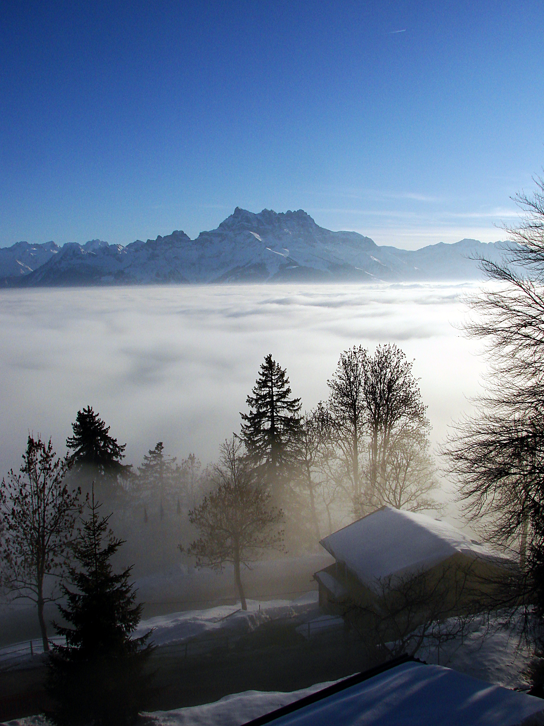 Dents du Midi (115)