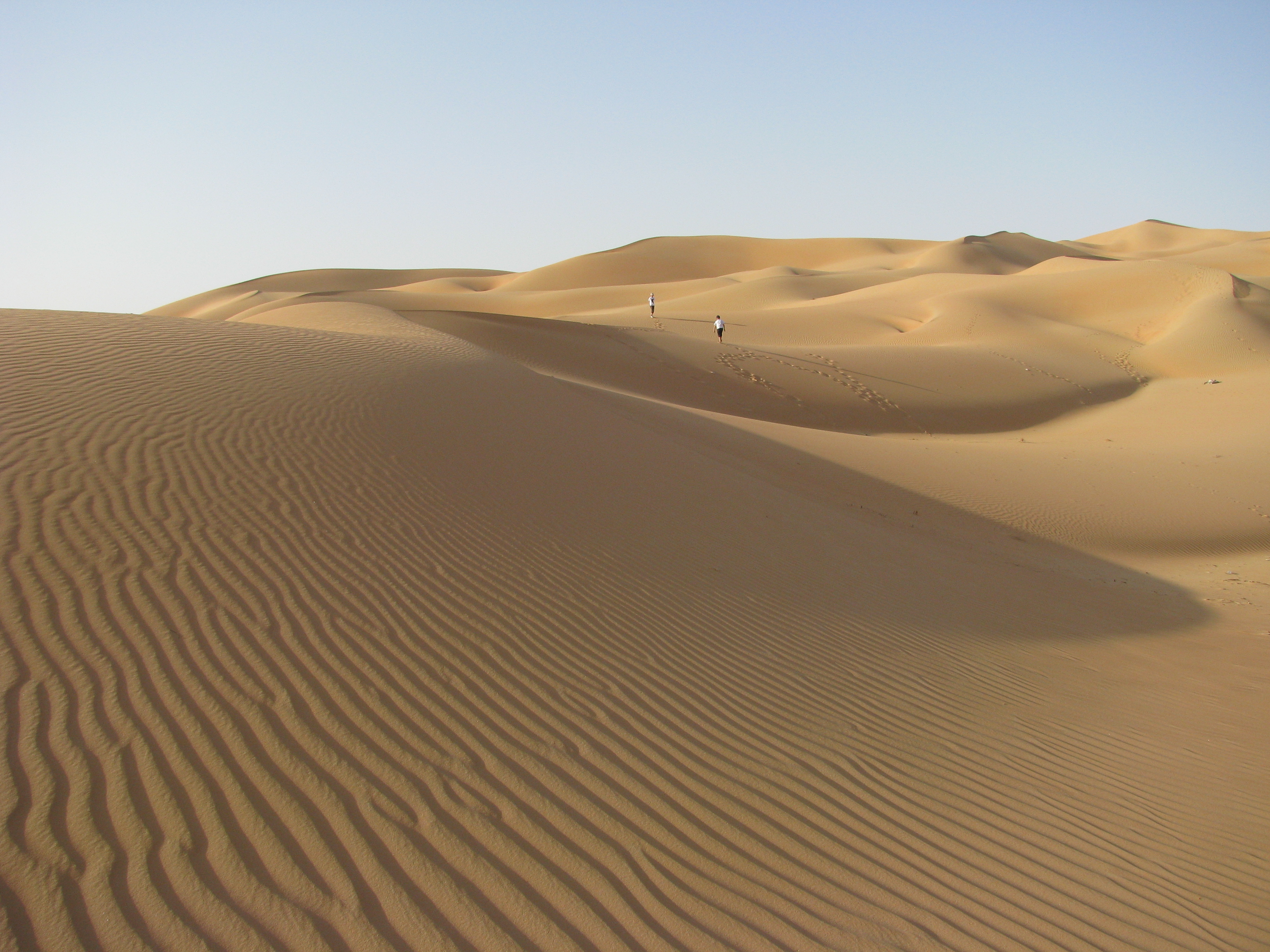 Desert ripples (4184941765)