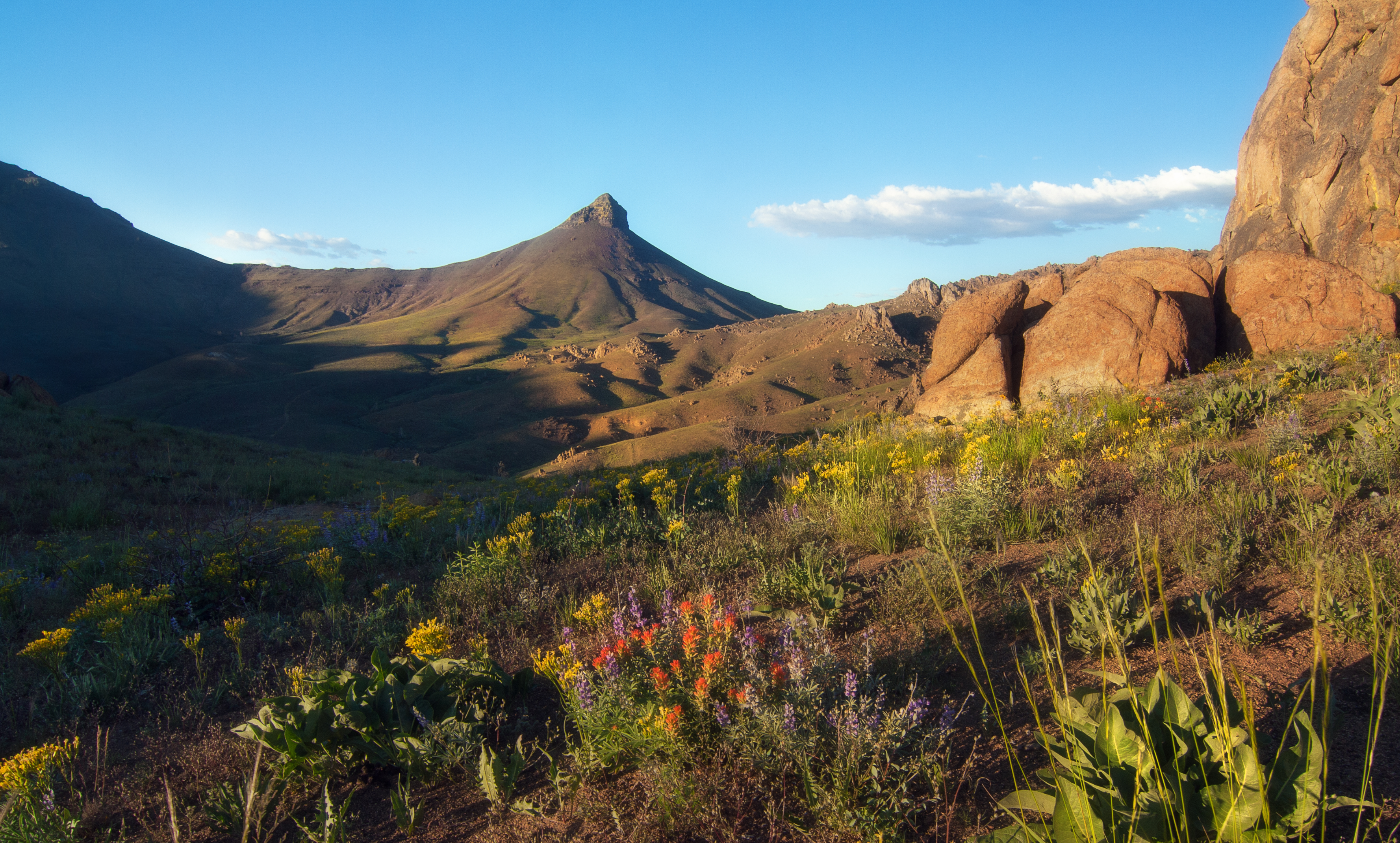 Disaster Peak and wildflowers