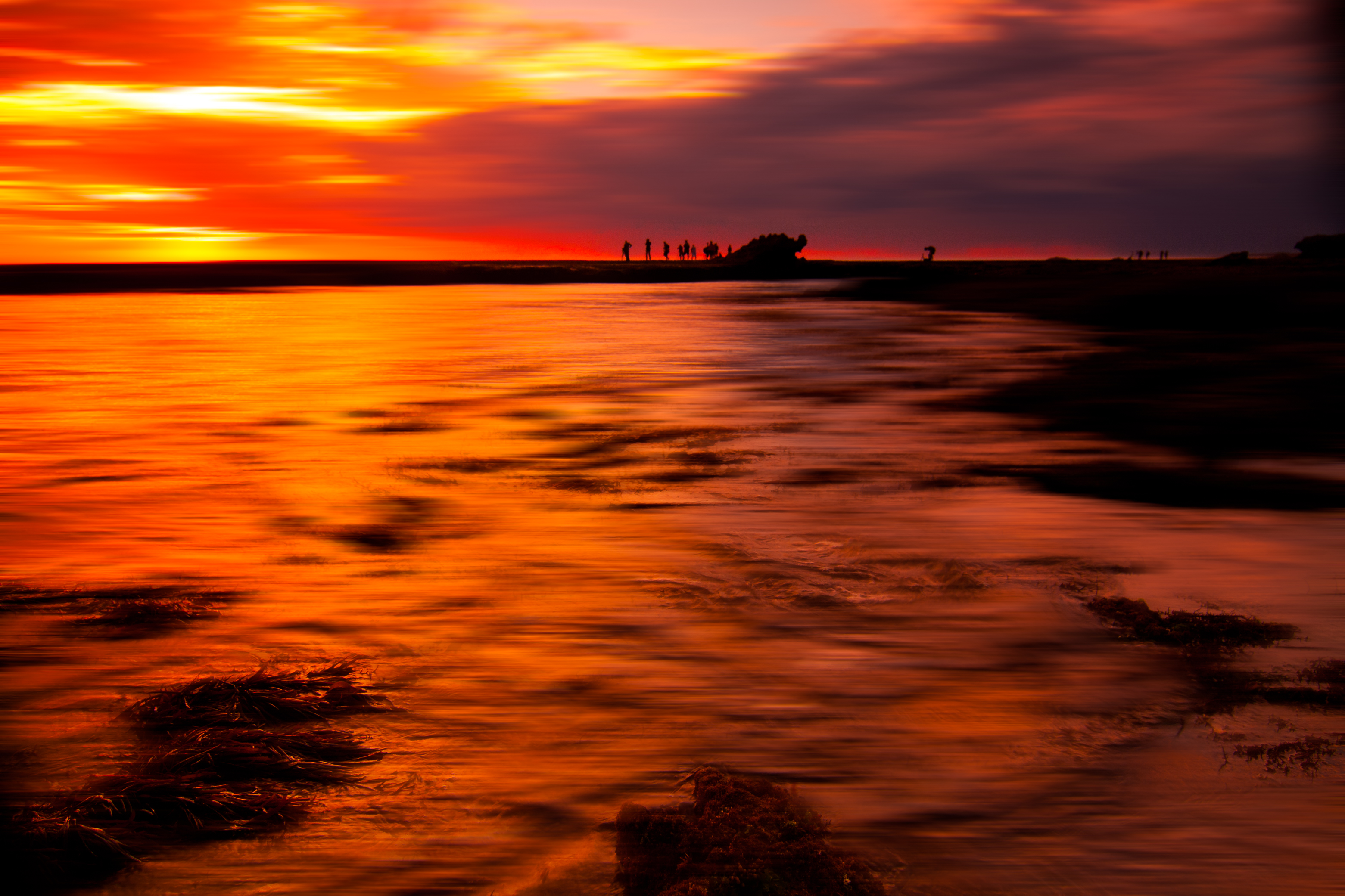 Dragon head Sunset (33106899680)