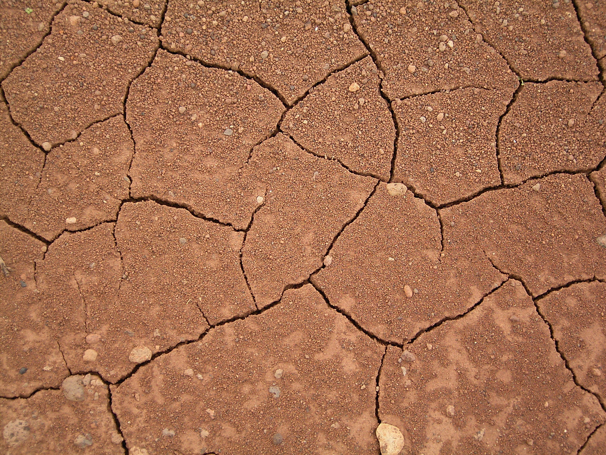 Dried mud (La Fajana) 02 ies
