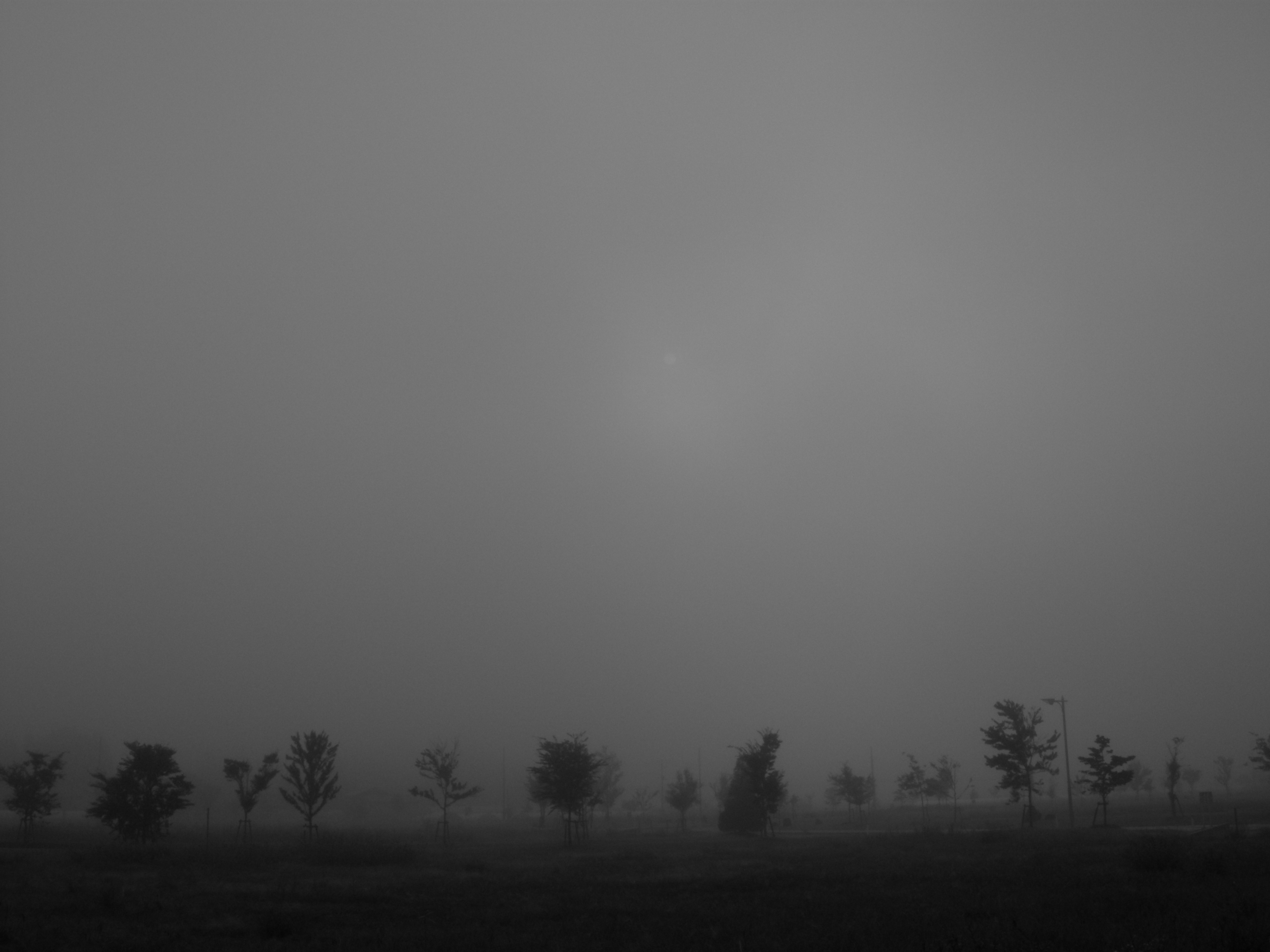 DSCN1419 (2929324288)