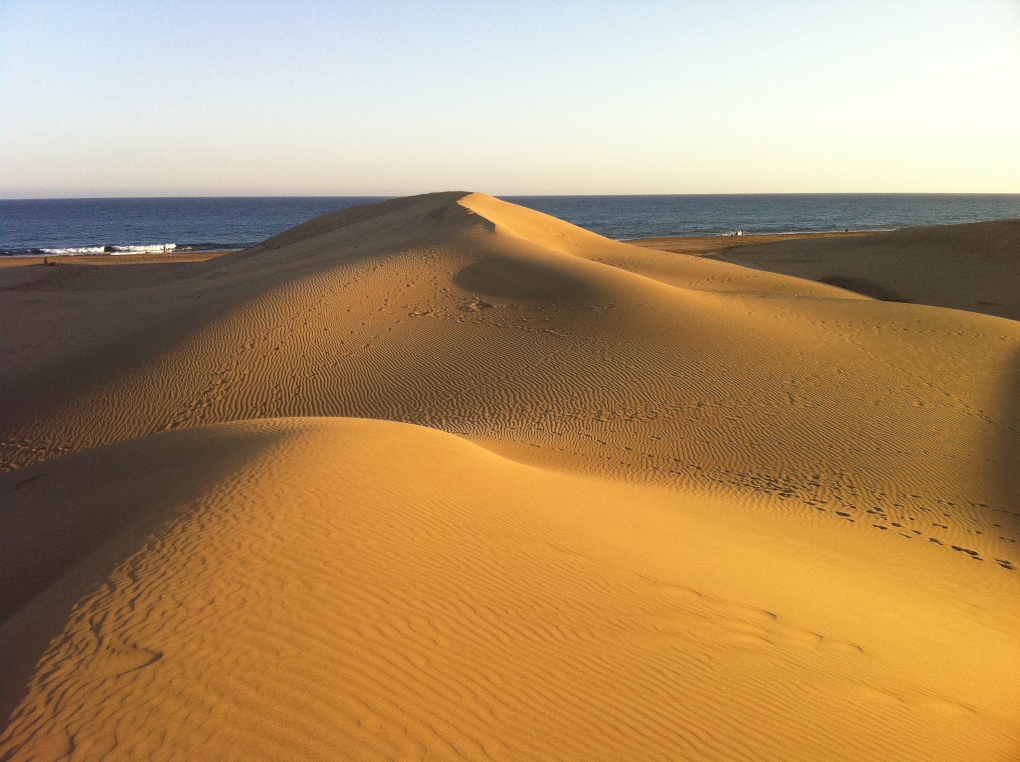 Duna costera