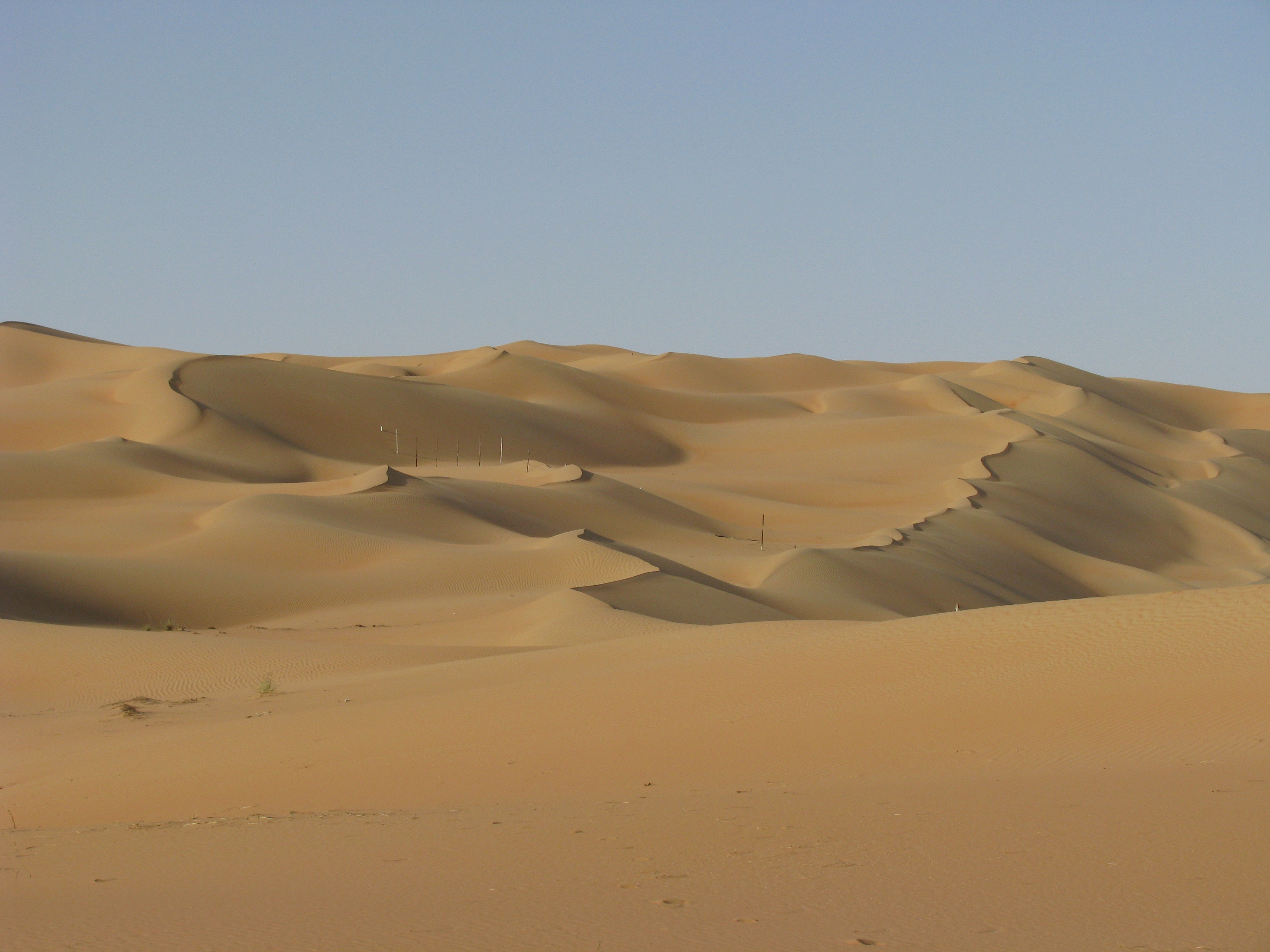 Dune crests (4184937421)