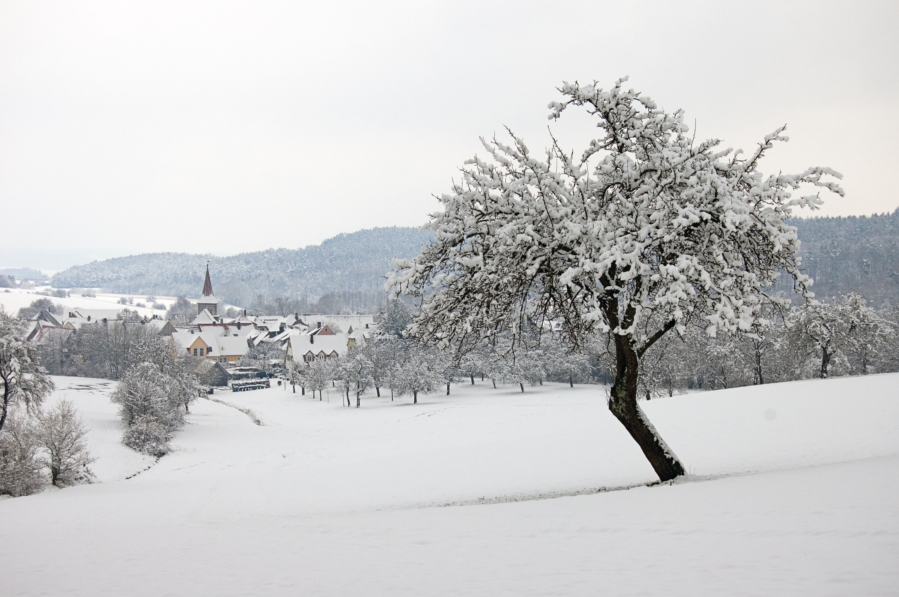 Egenhausen 20080323 SK 0002