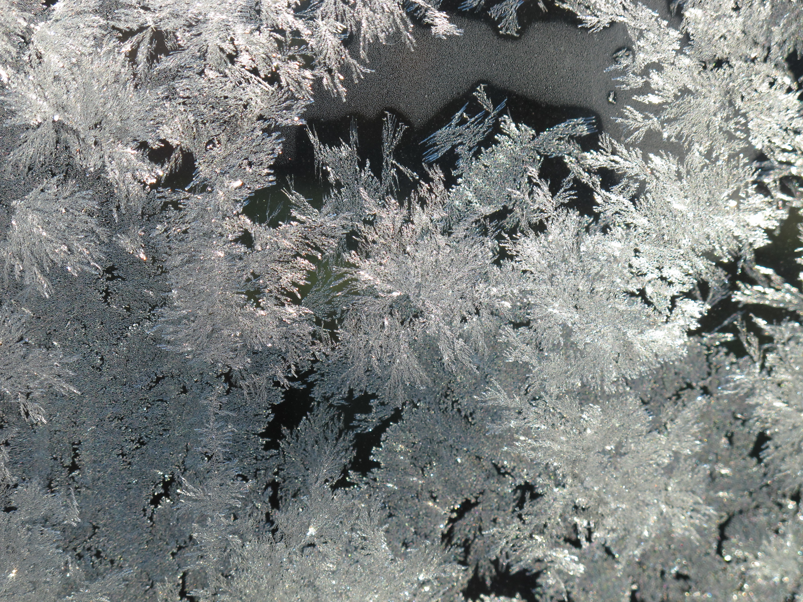 Eisblumen an Doppelglasscheibe