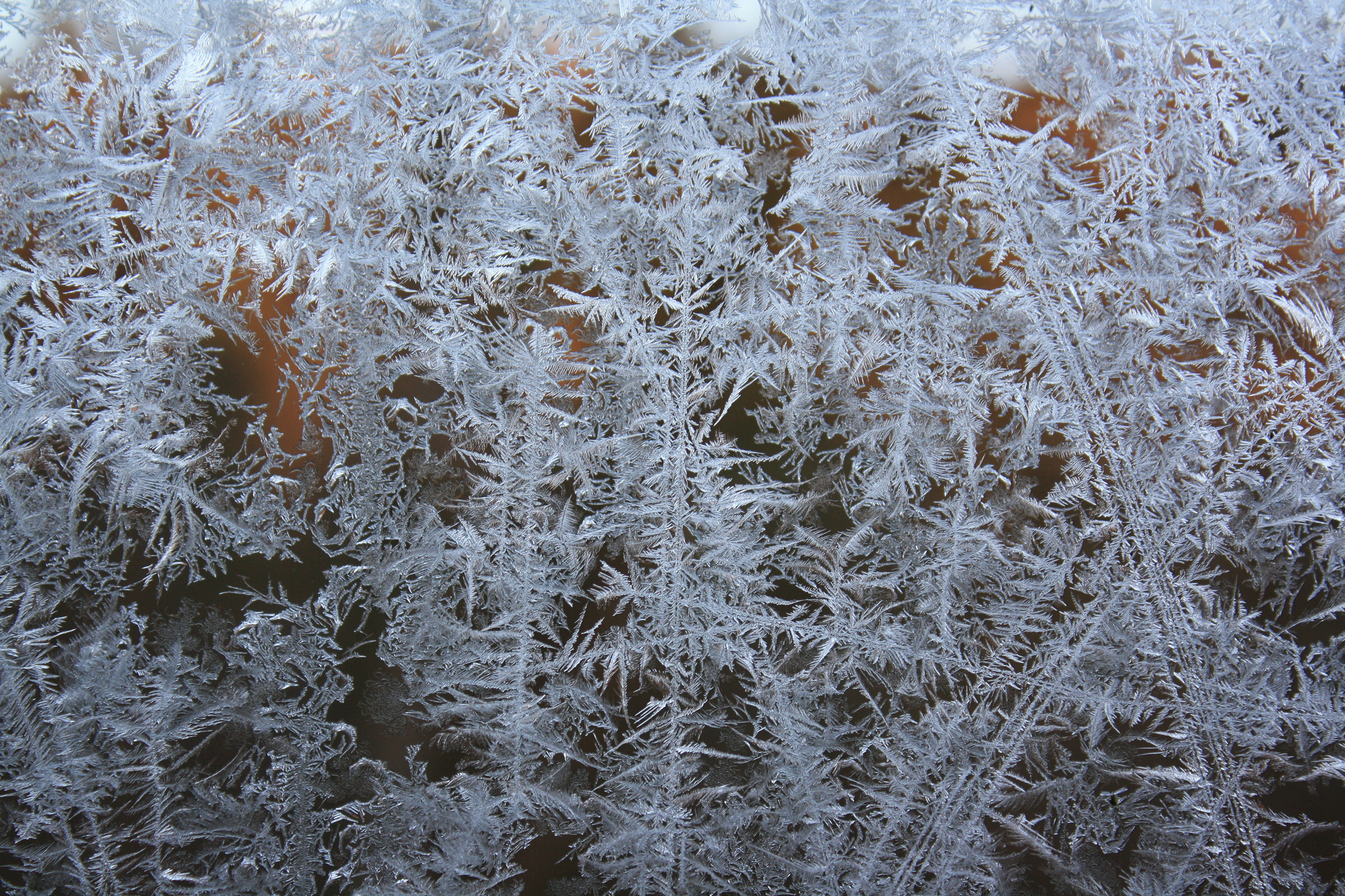 Eisblumen an glasscheibe