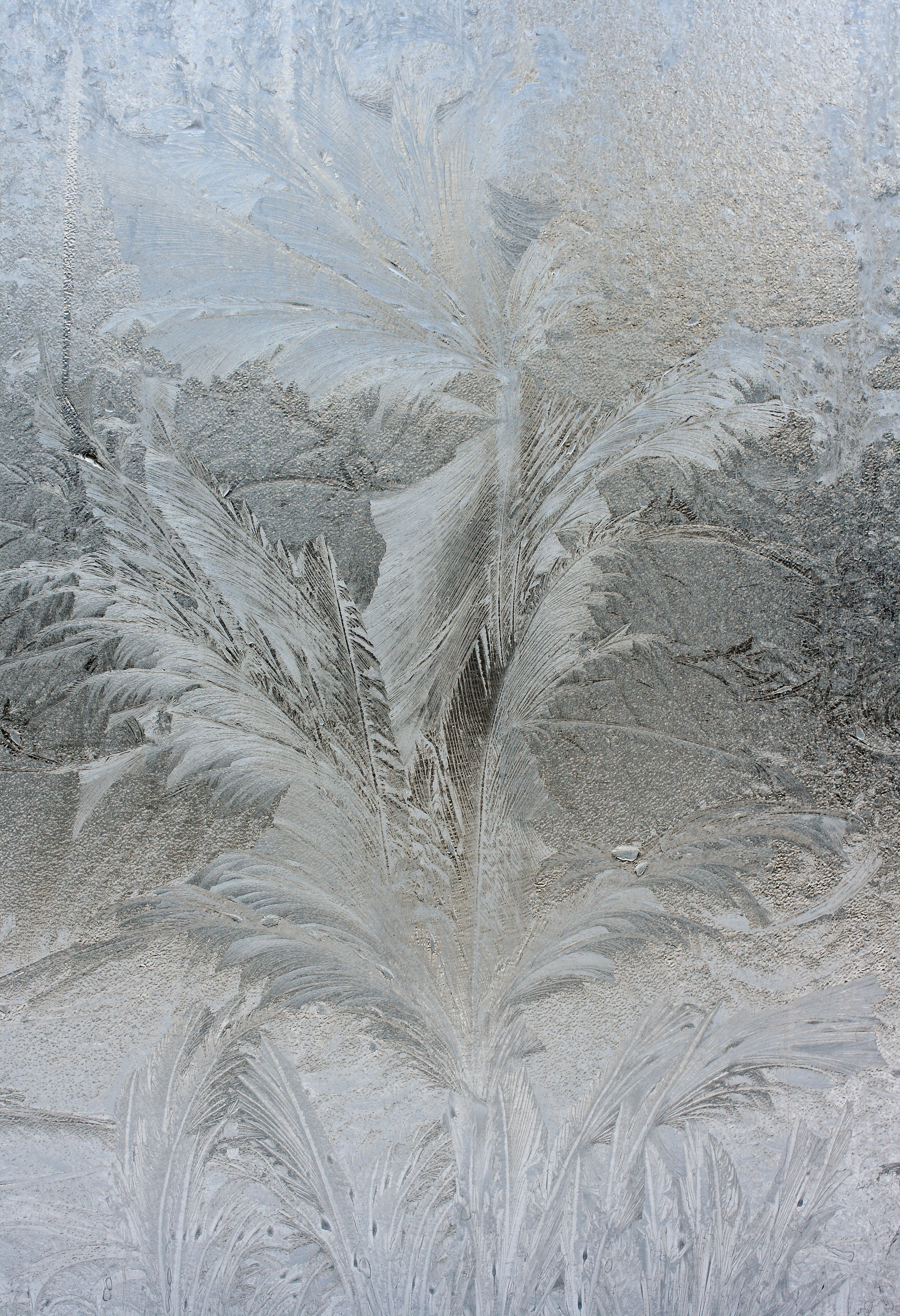 Eisblumenfenster 1