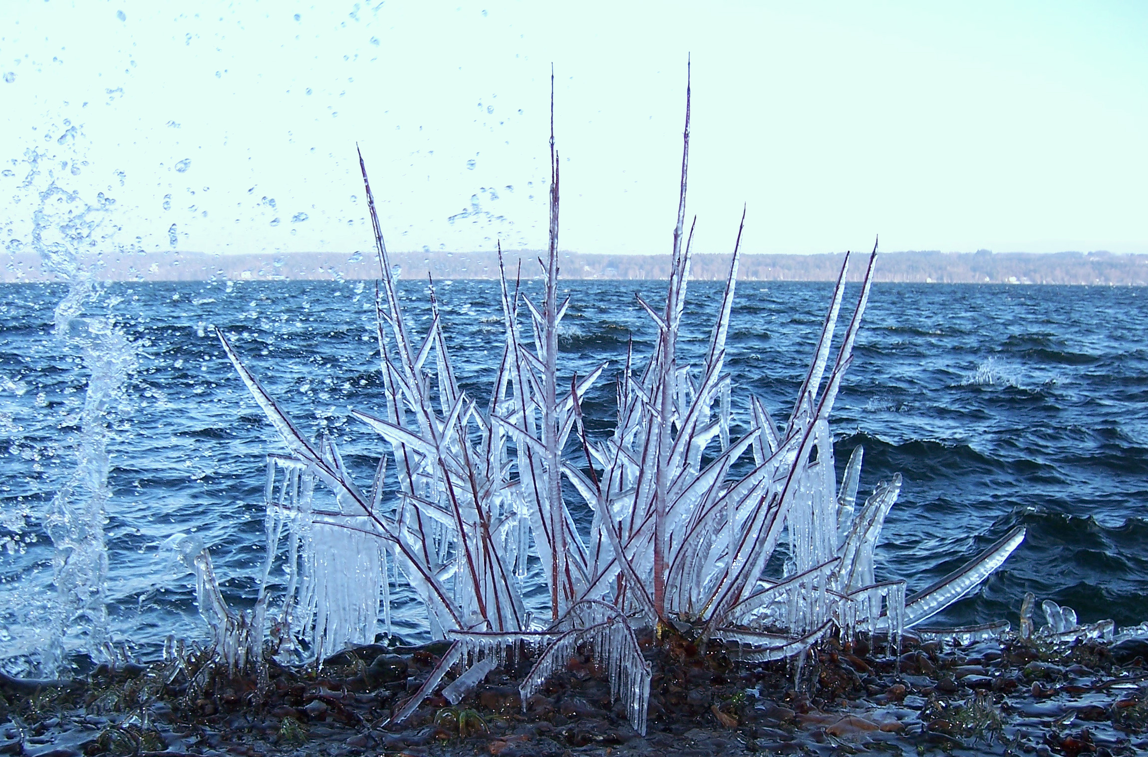EiszapfenStarnbergerSee-crop