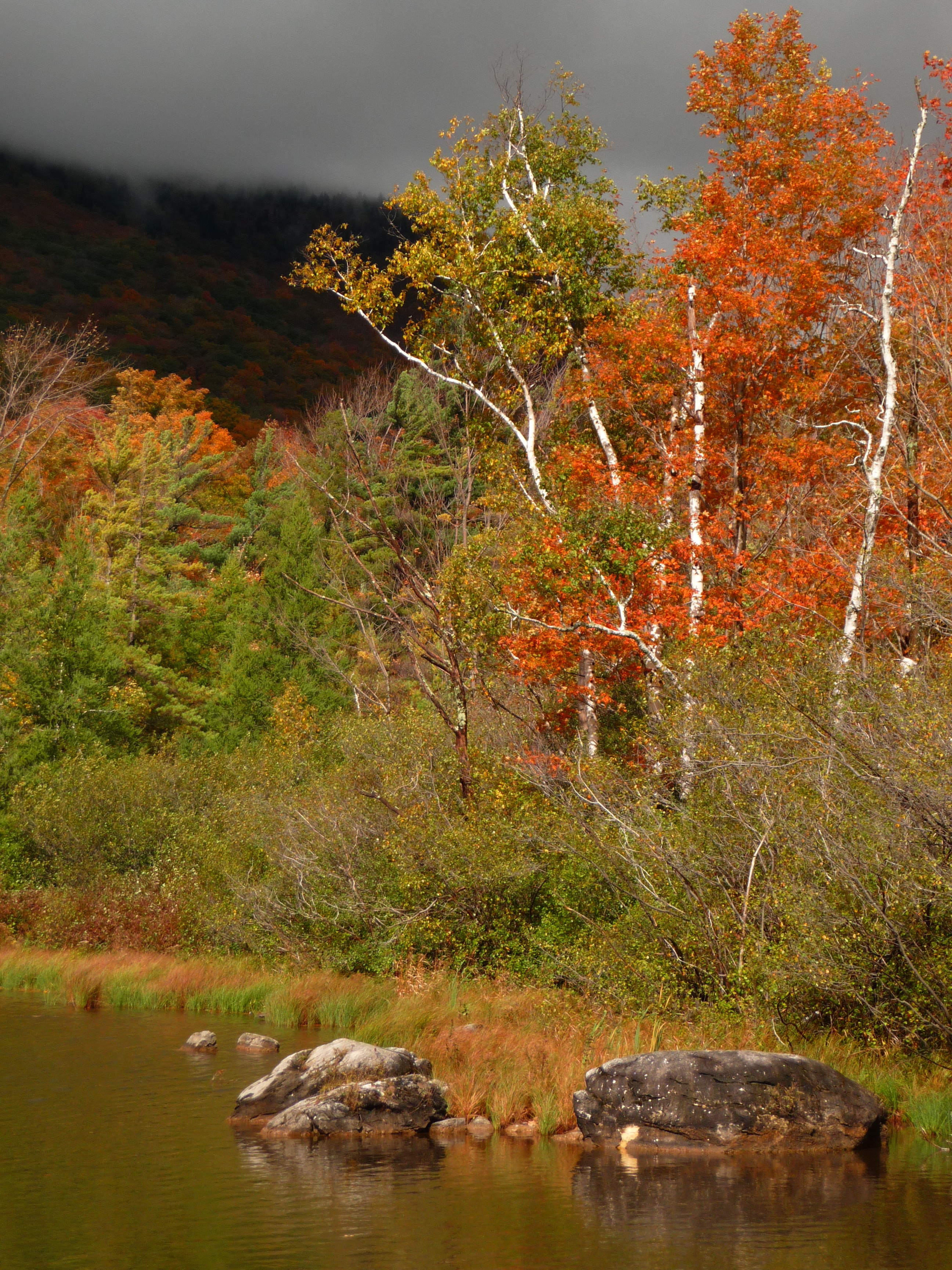 Equinox Pond1