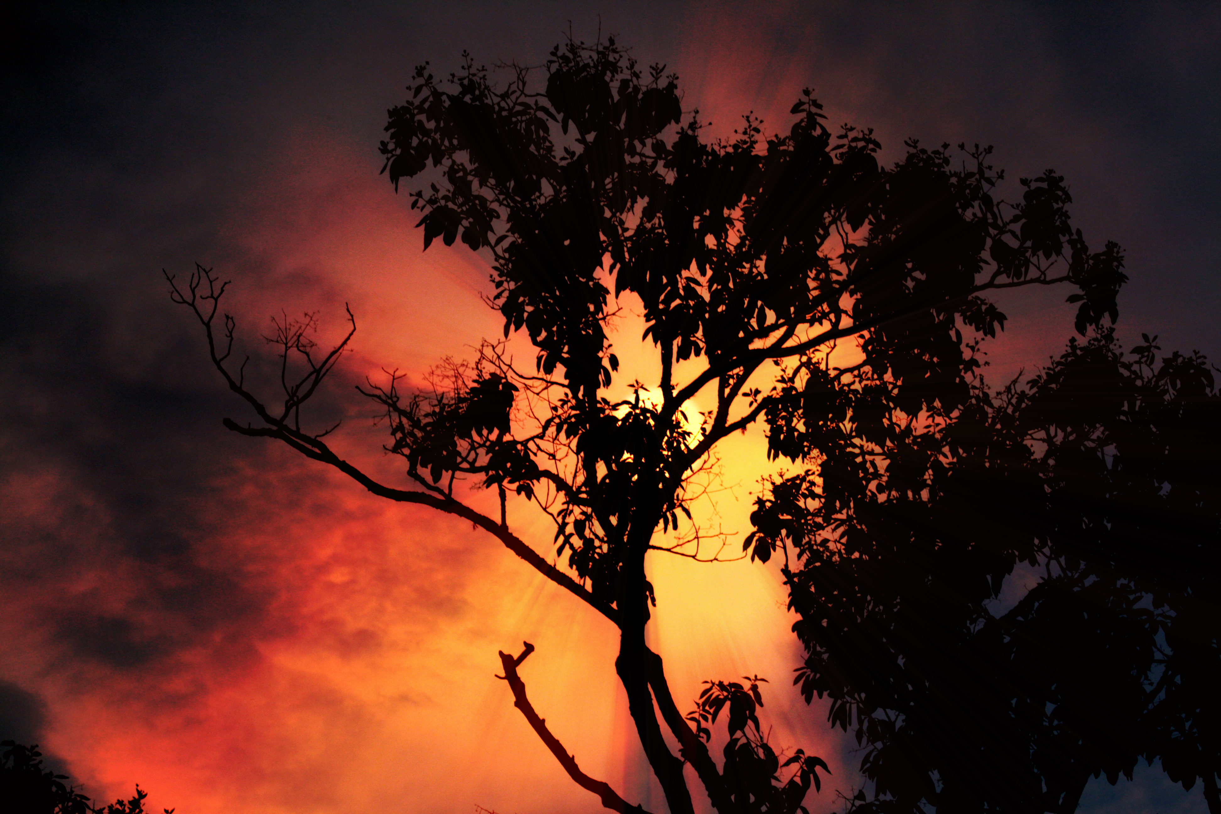 Flaming Sky (2252032385)