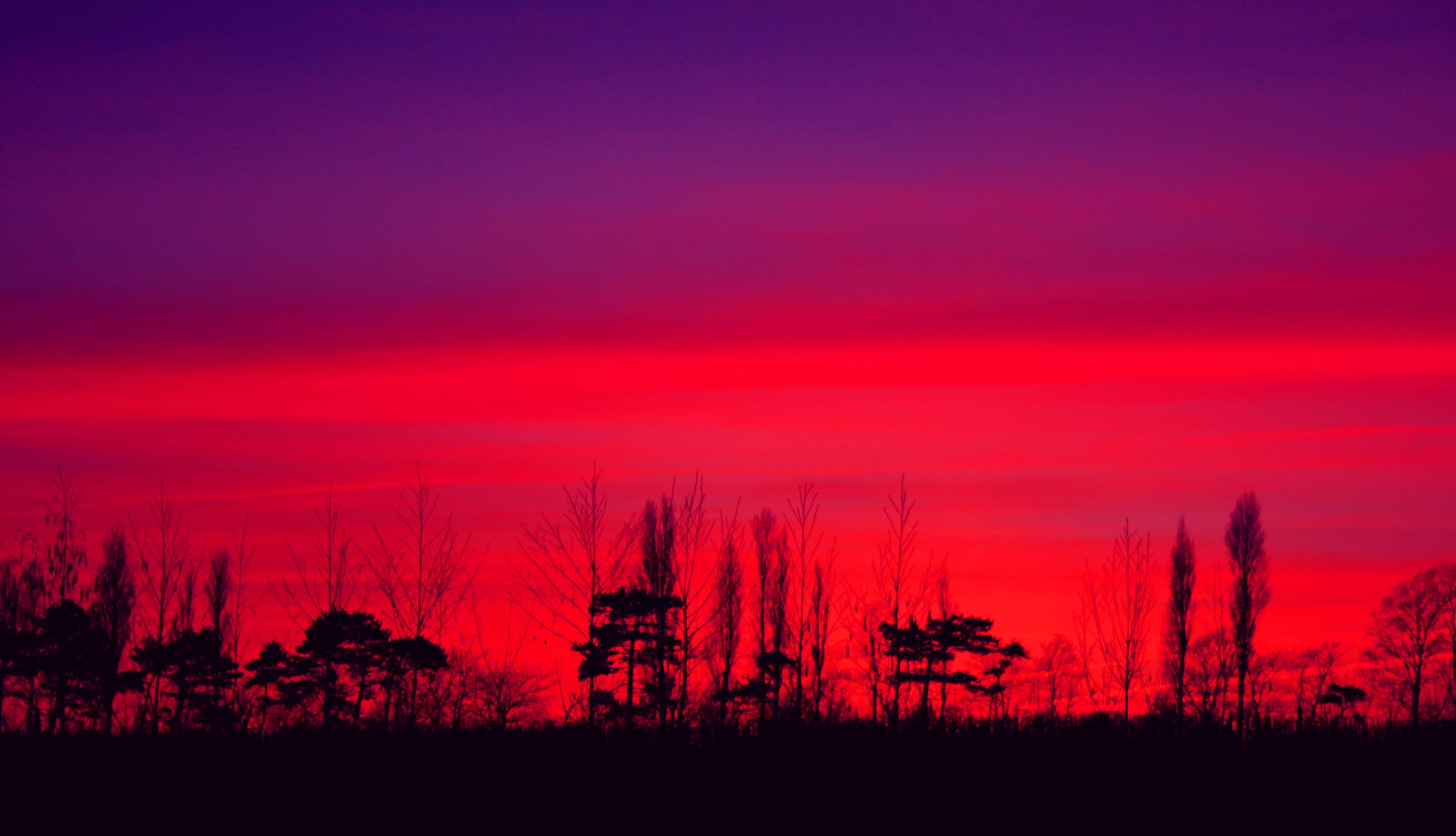 Sandwich, Kent, England - Law keven - Purple Haze...